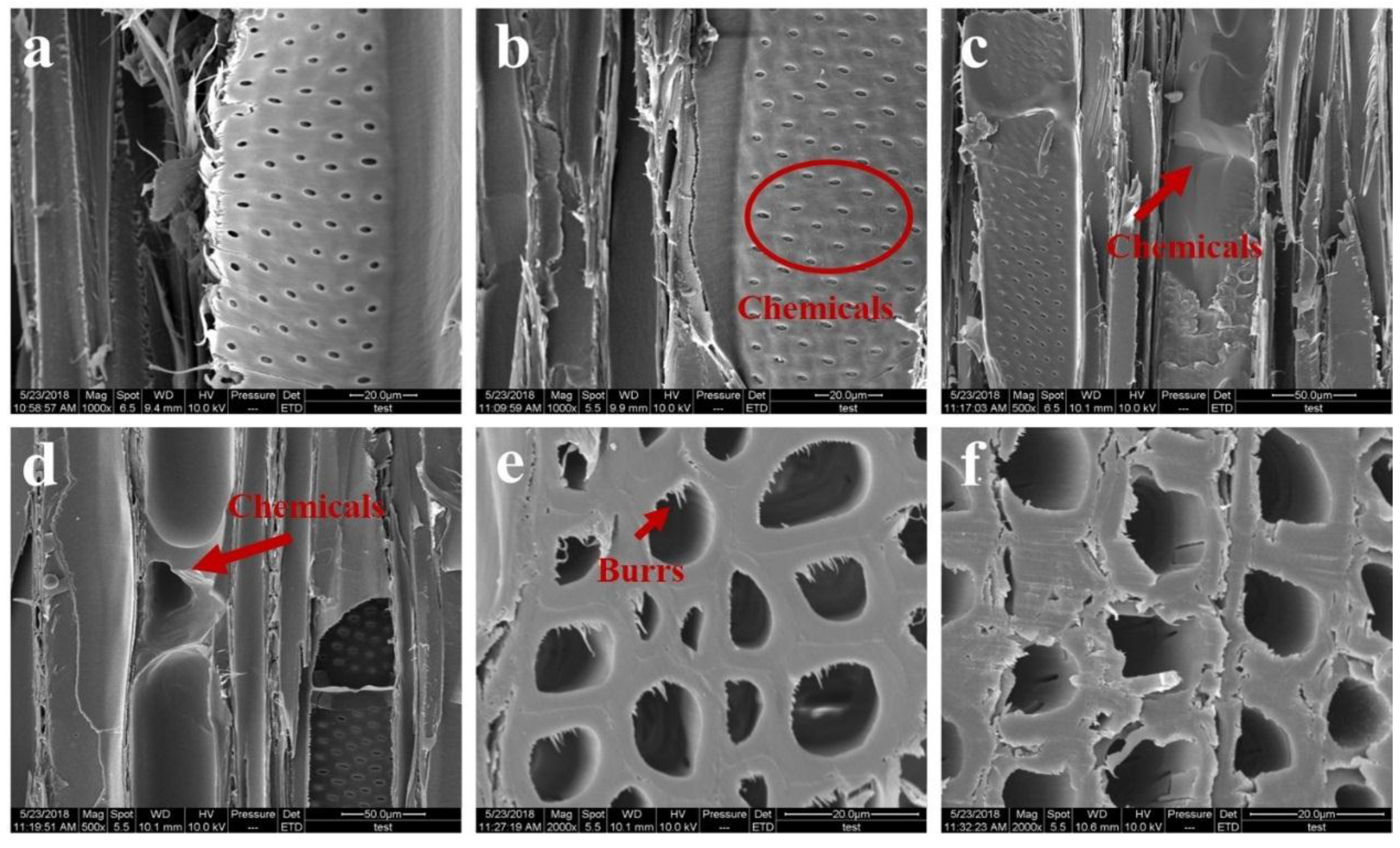 Forests 09 00676 g007