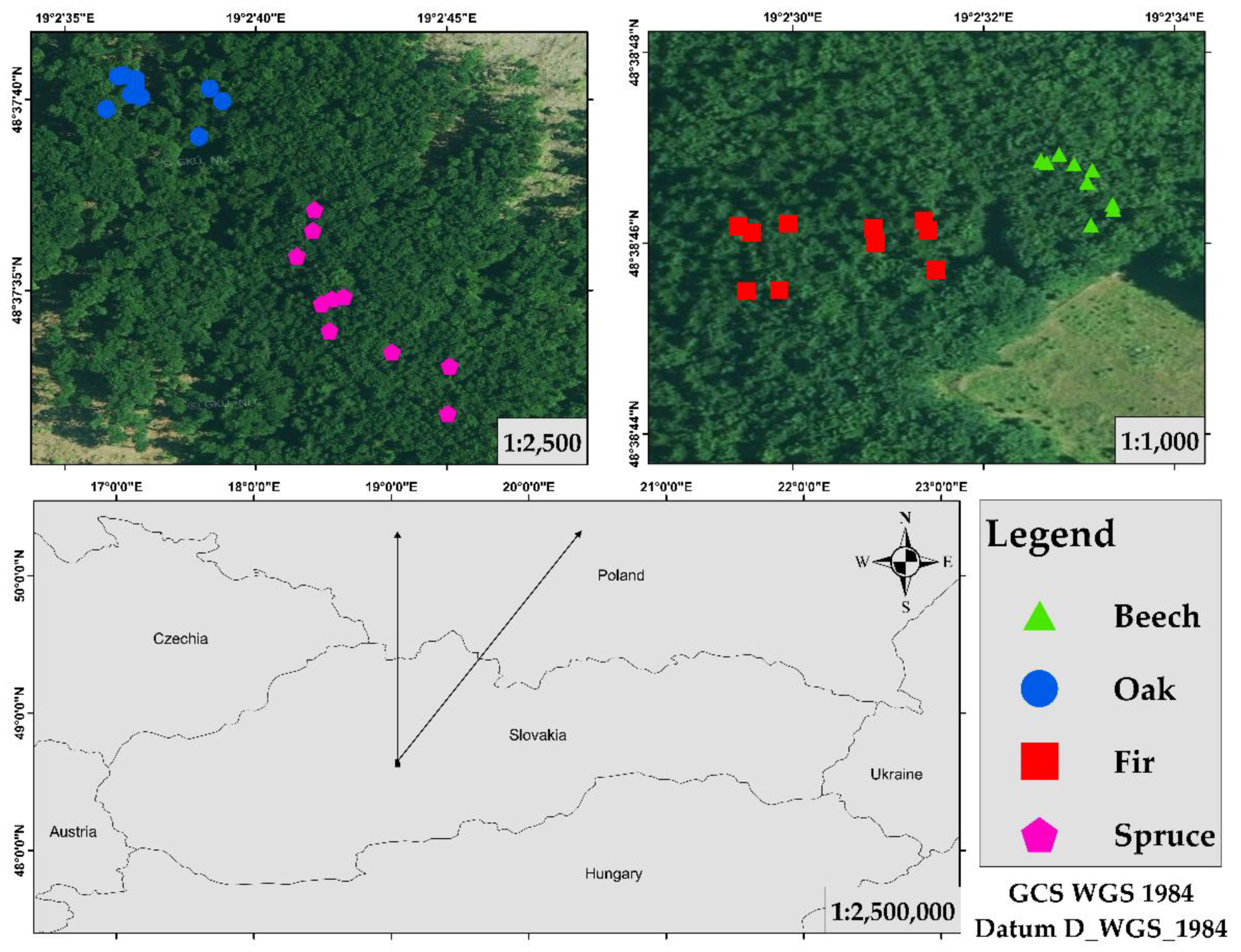 Forests 09 00696 g001