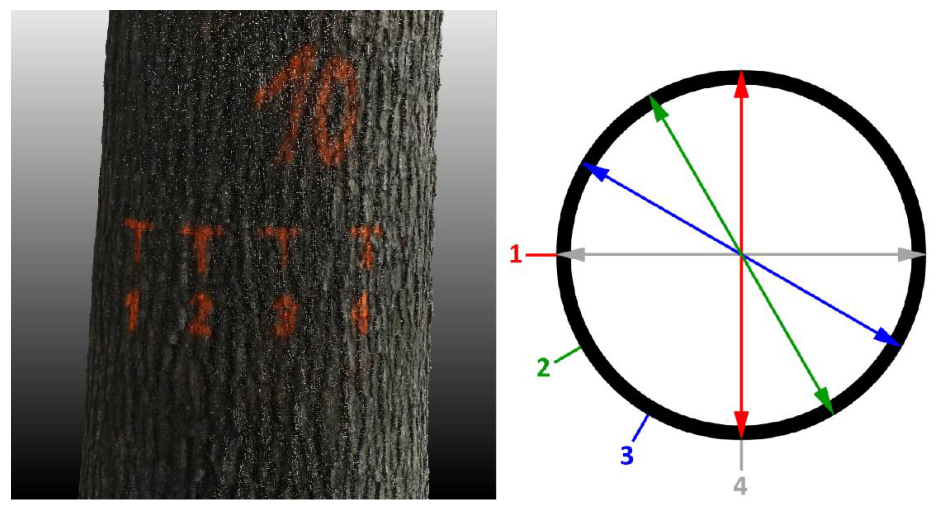 Forests 09 00696 g002