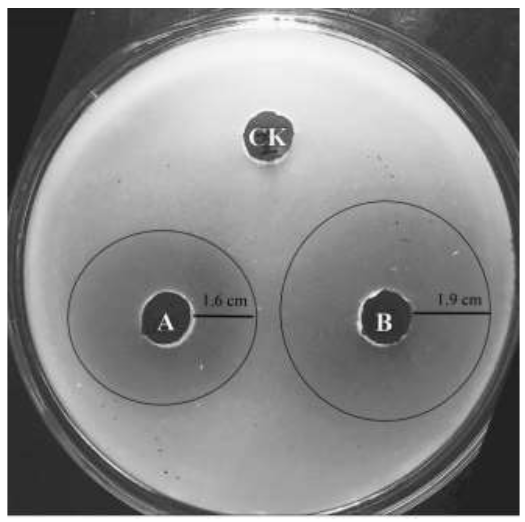 Forests 09 00699 g009