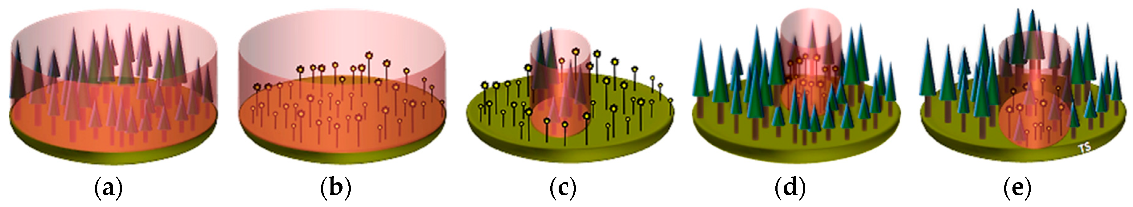 Forests 09 00701 g001