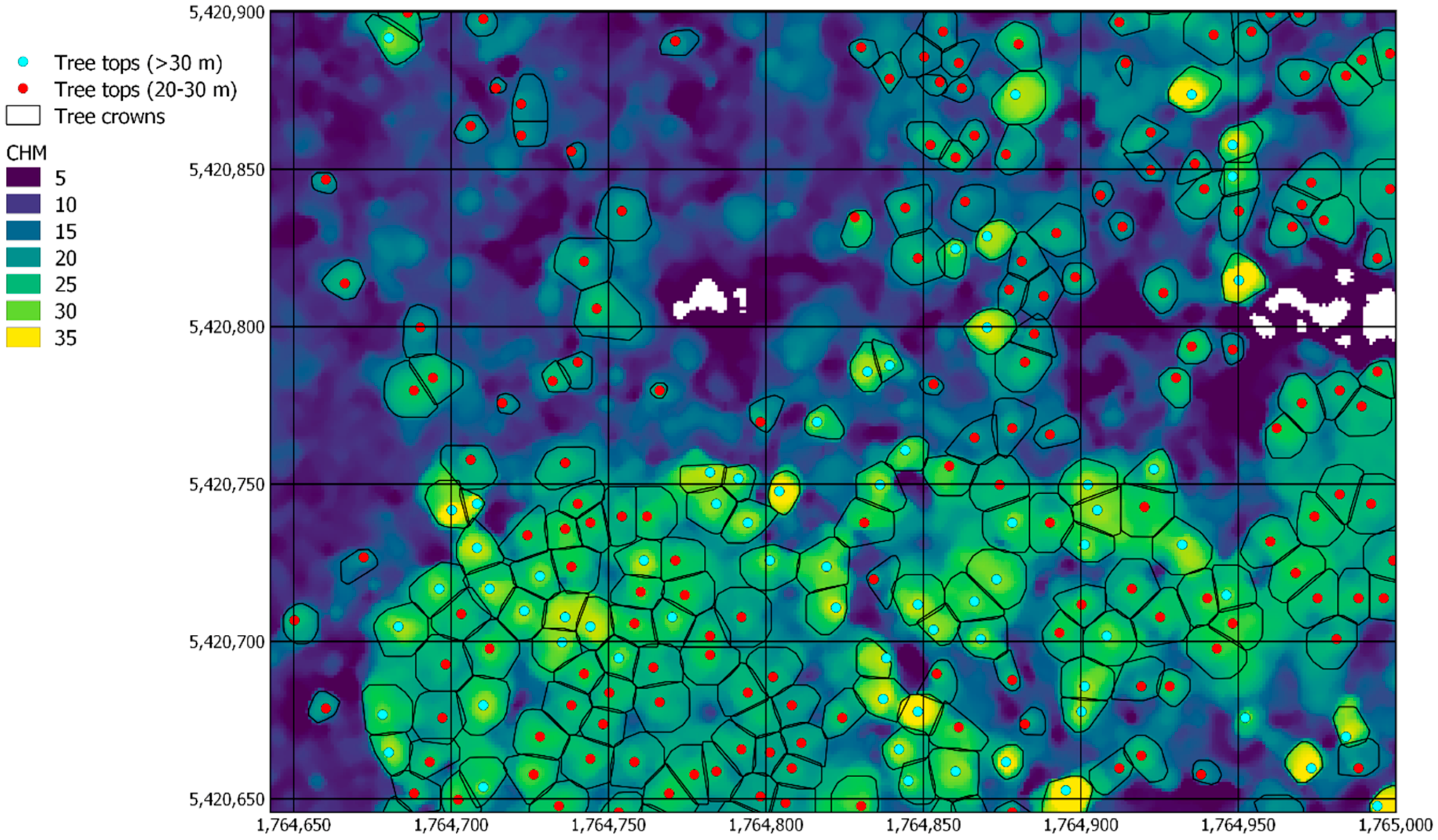 Forests 09 00702 g004 Forests 09 00702 g004