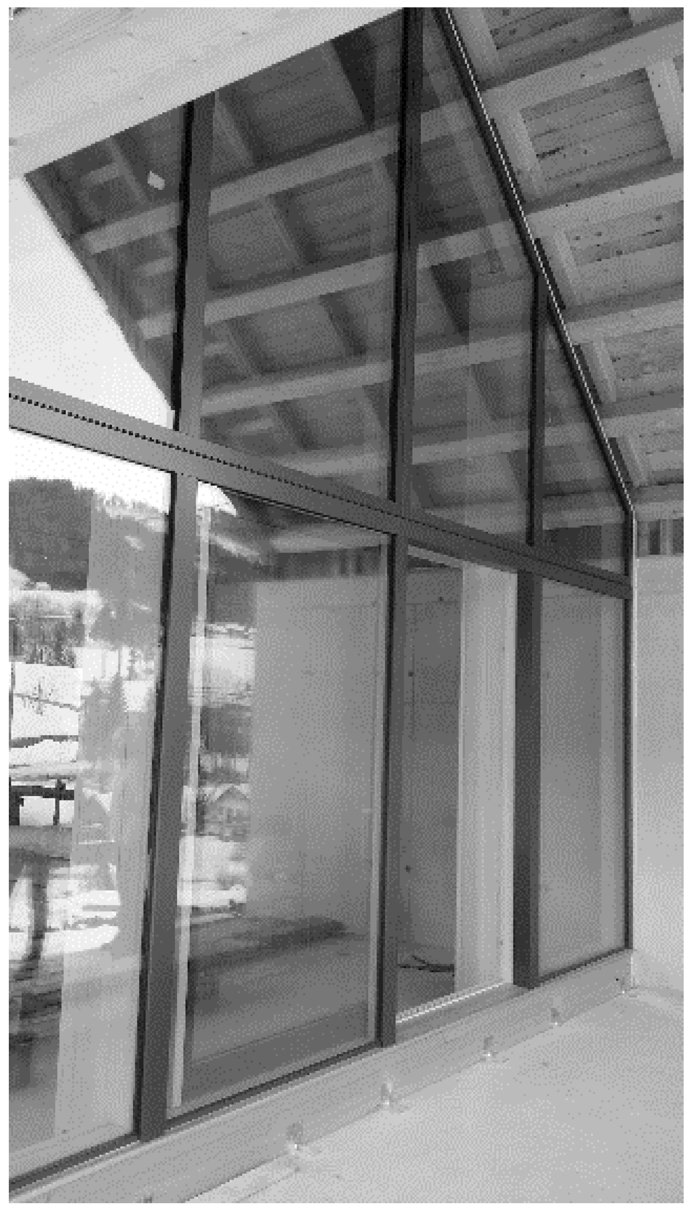 Forests 09 00703 g001