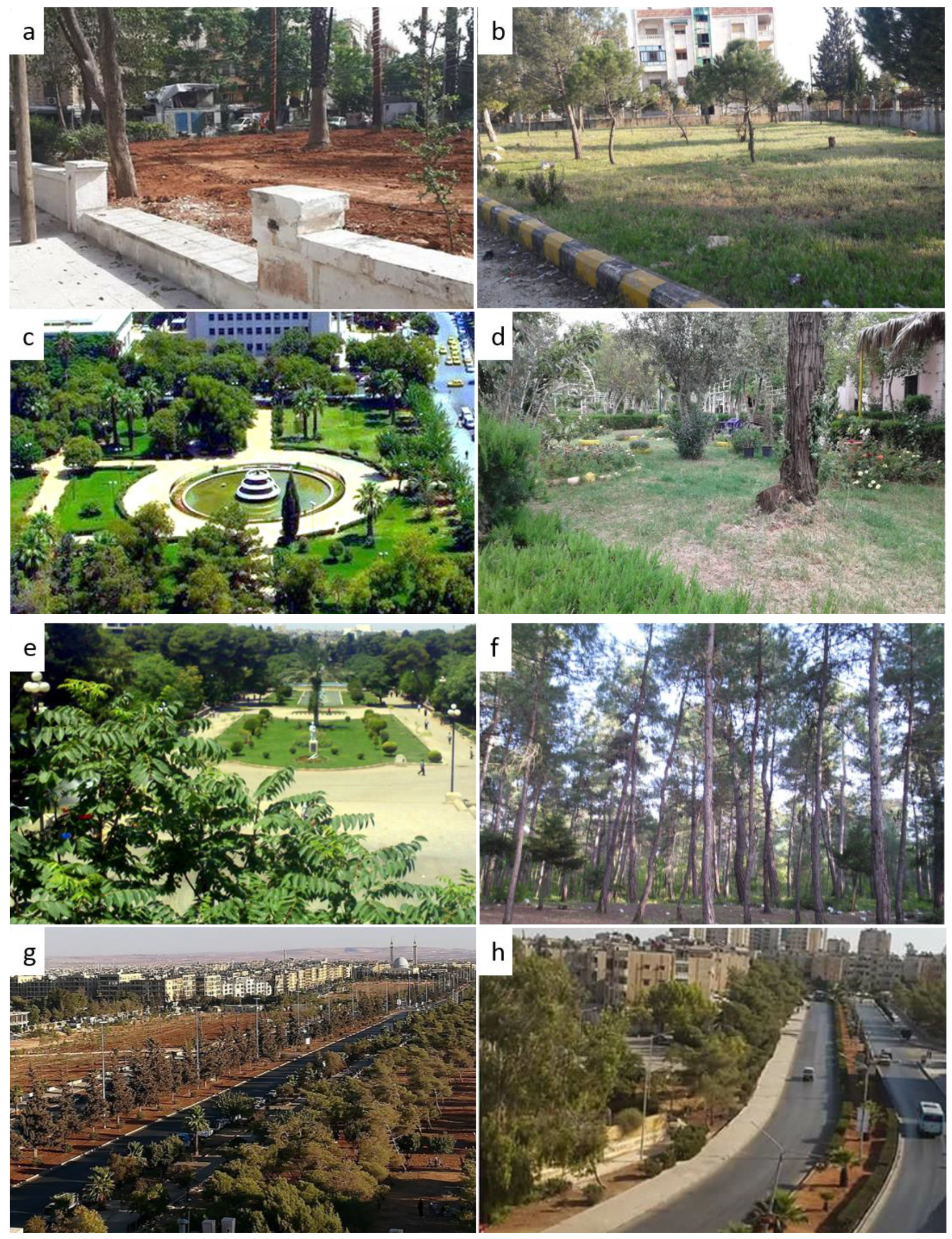 Forests 09 00706 g003 Forests 09 00706 g003