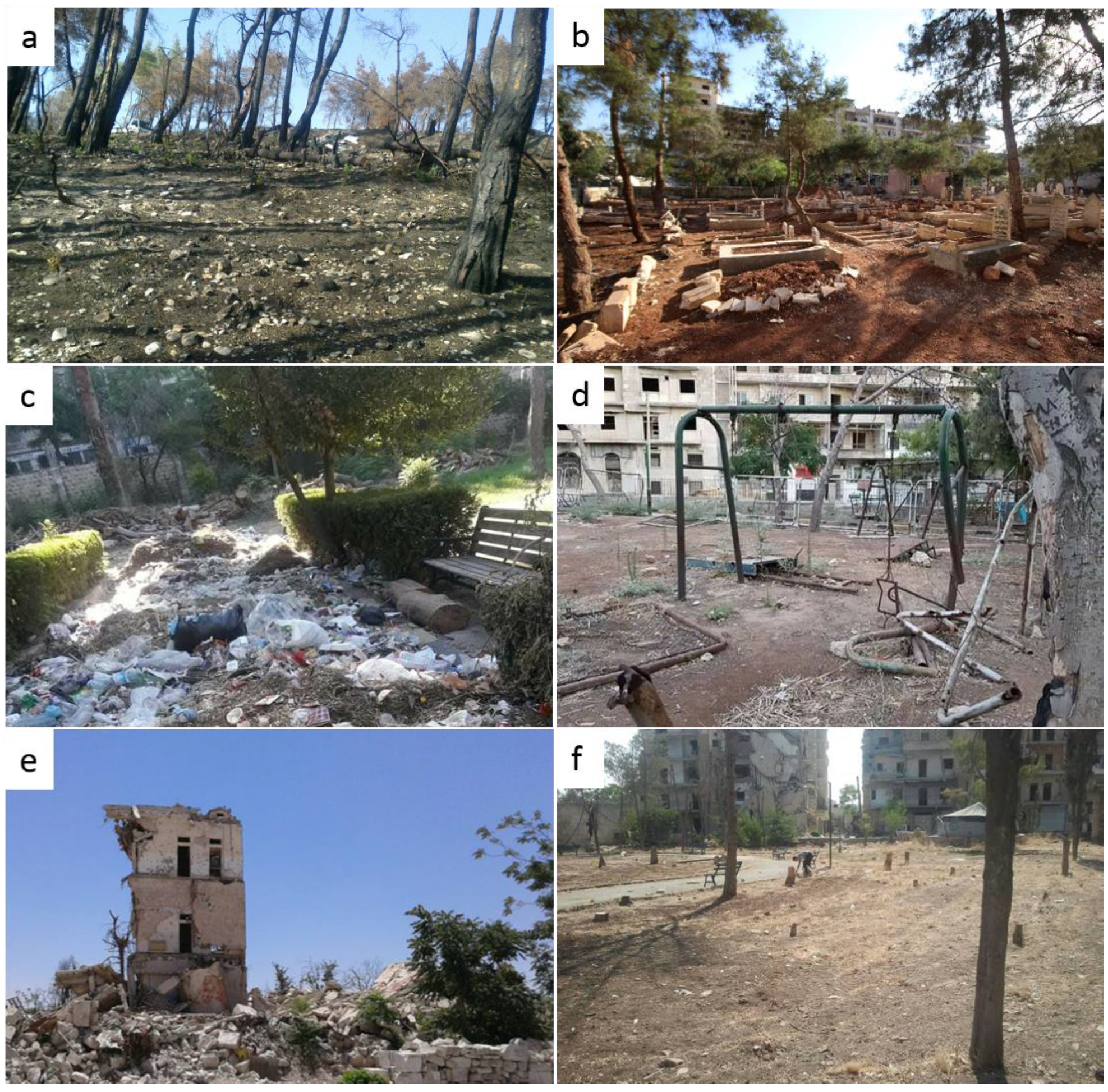 Forests 09 00706 g007 Forests 09 00706 g007