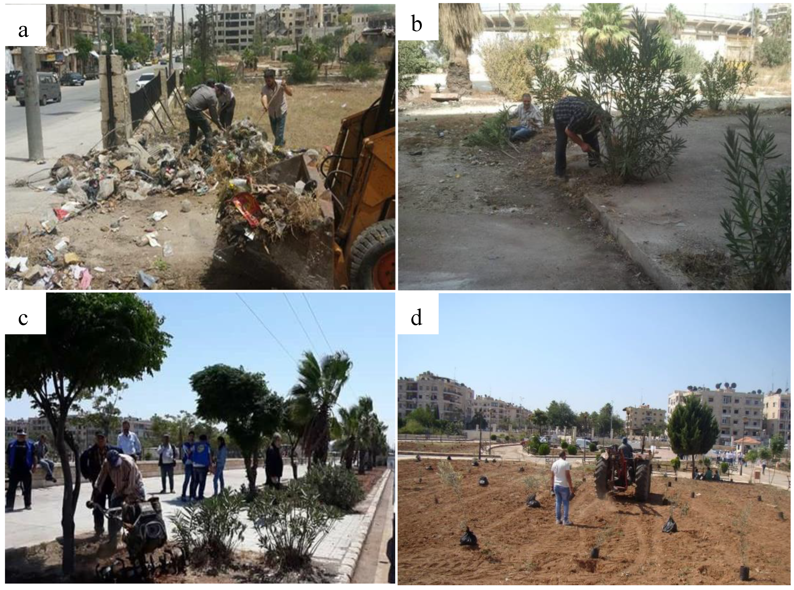 Forests 09 00706 g009 Forests 09 00706 g009