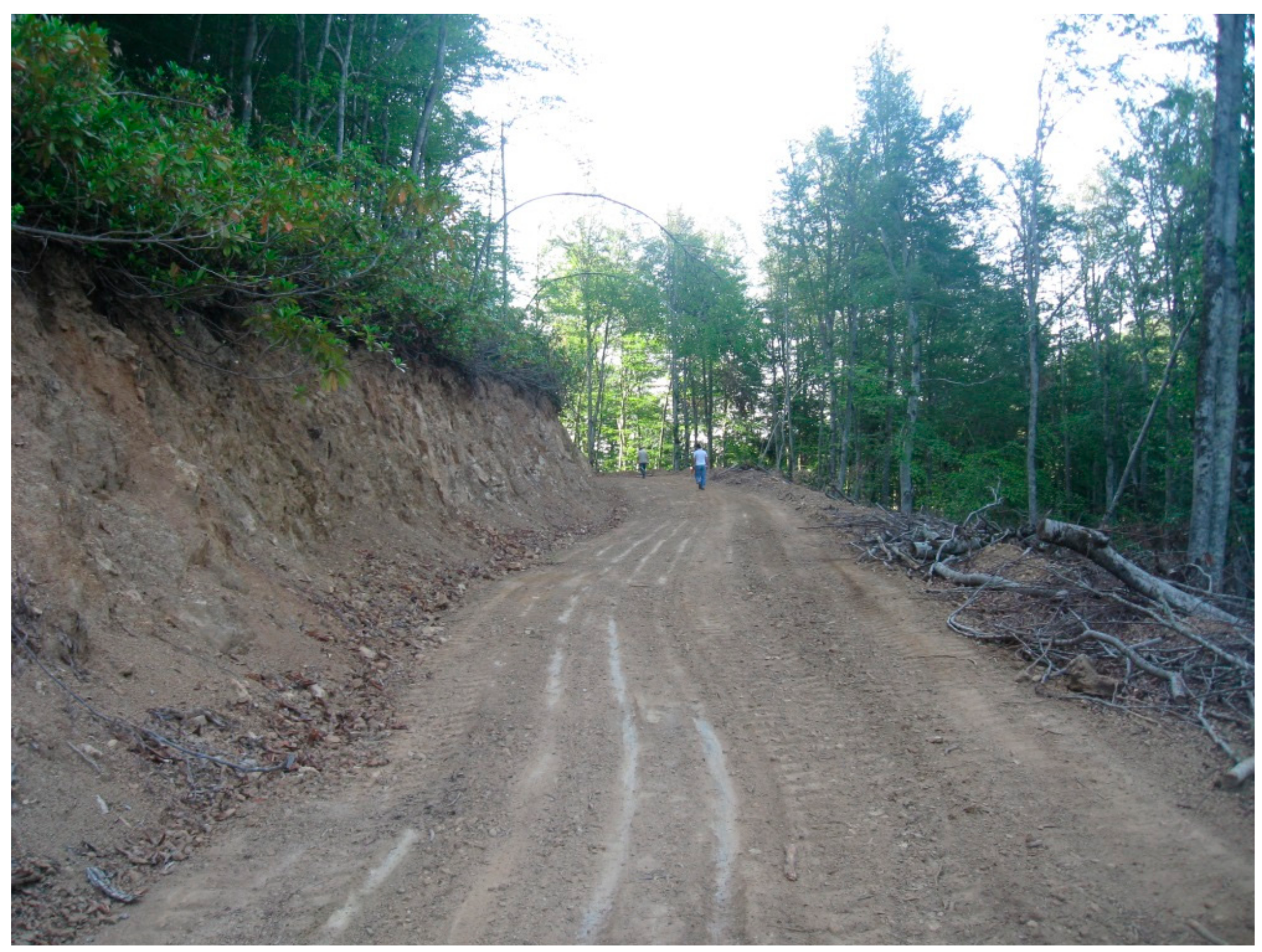 Forests 09 00712 g001 Forests 09 00712 g001