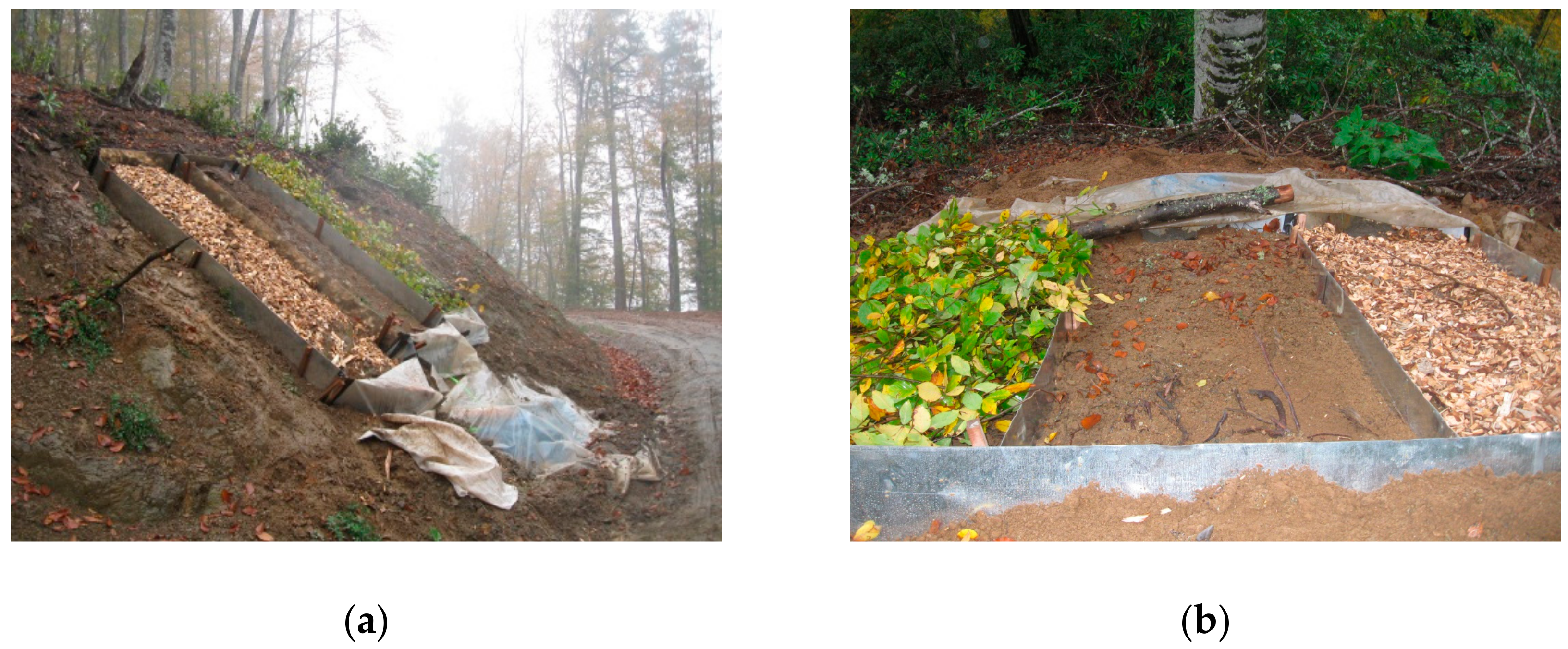 Forests 09 00712 g002 Forests 09 00712 g002