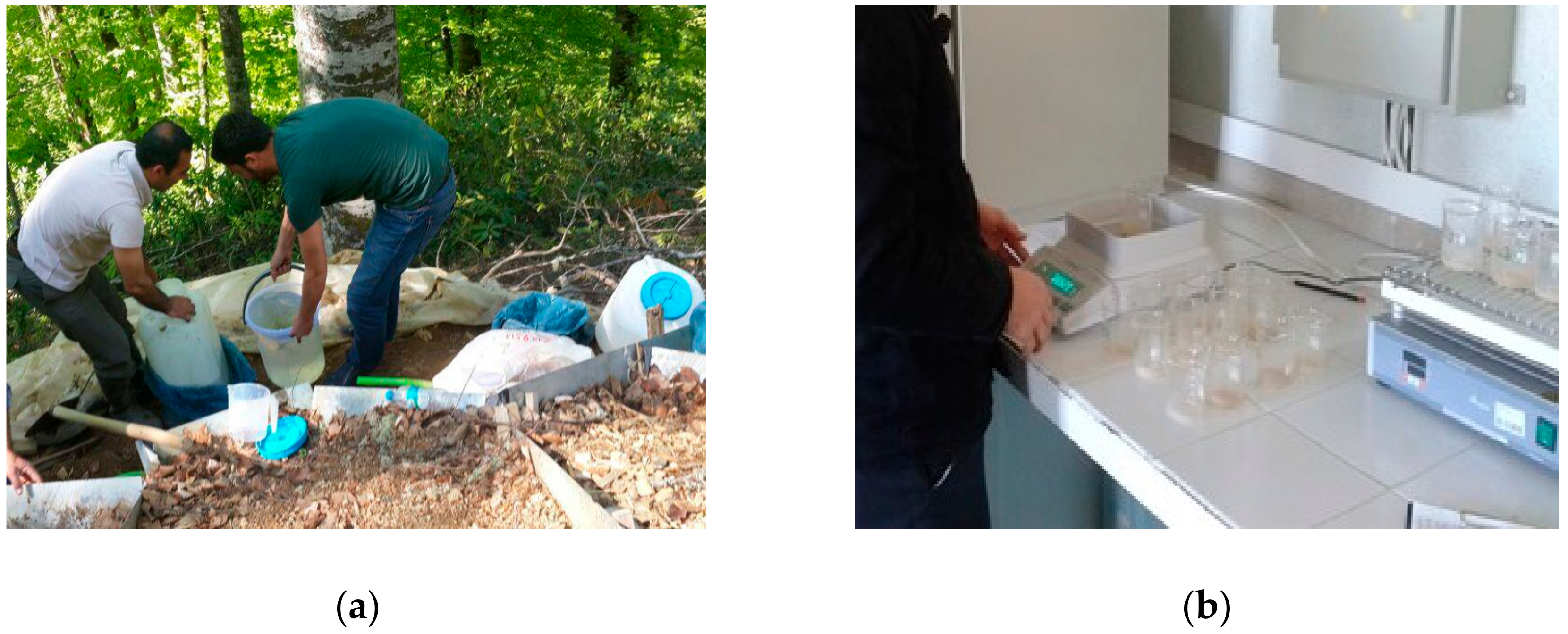 Forests 09 00712 g003 Forests 09 00712 g003