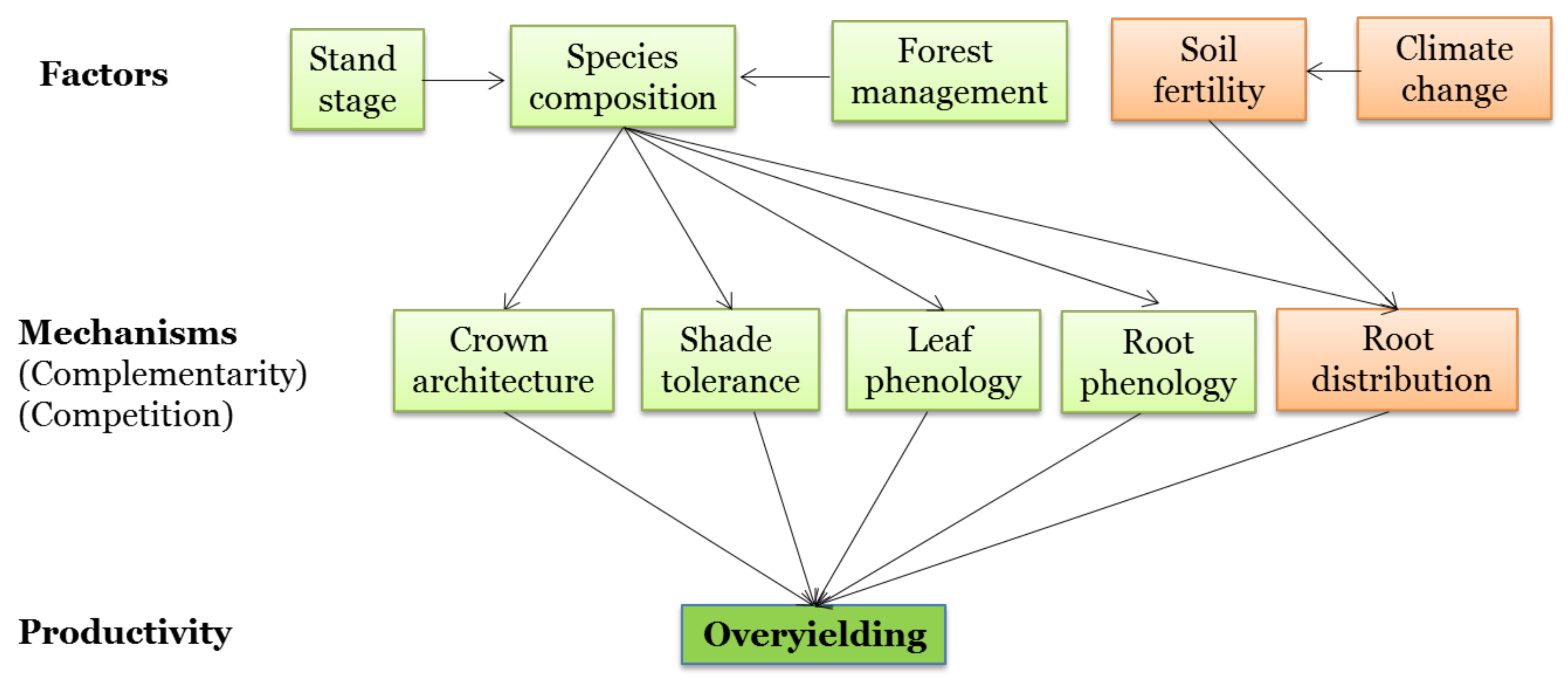 Forests 09 00713 g001