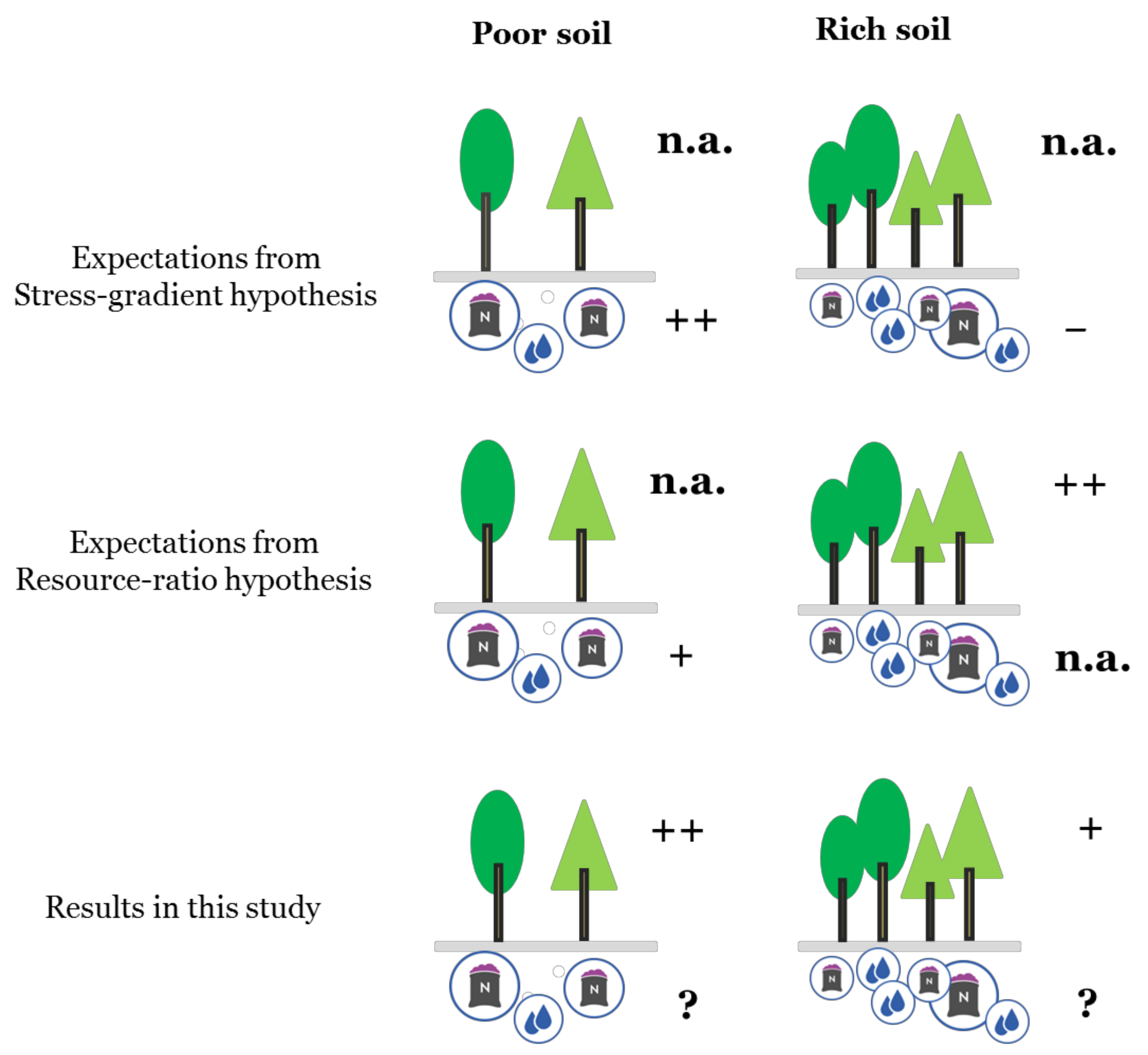 Forests 09 00713 g008