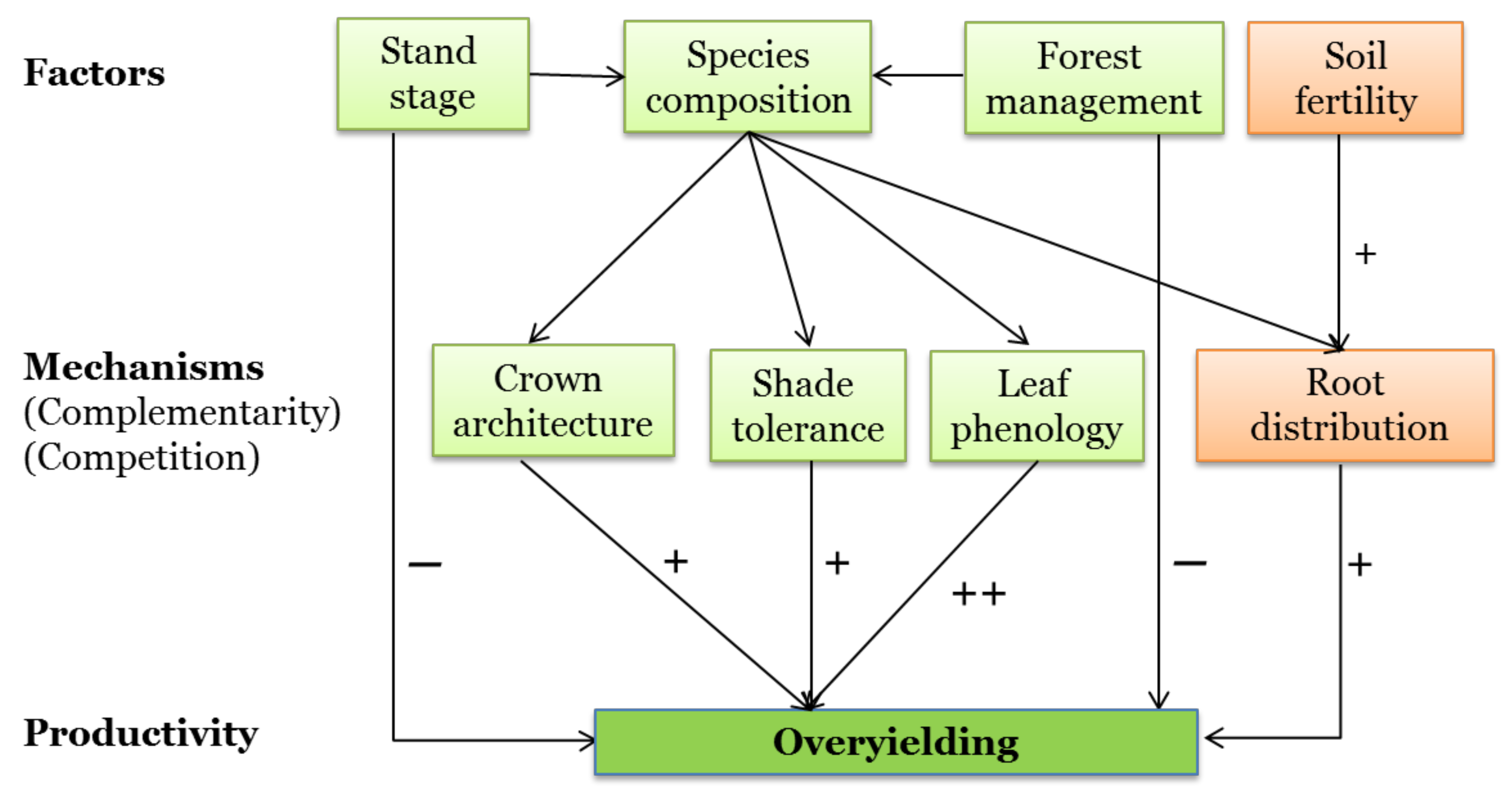 Forests 09 00713 g009
