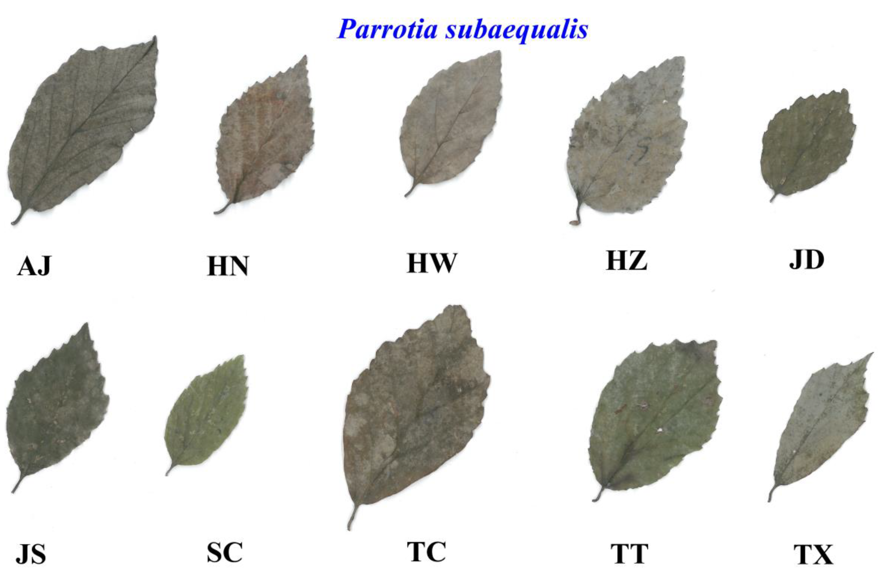 Forests 09 00714 g003 Forests 09 00714 g003