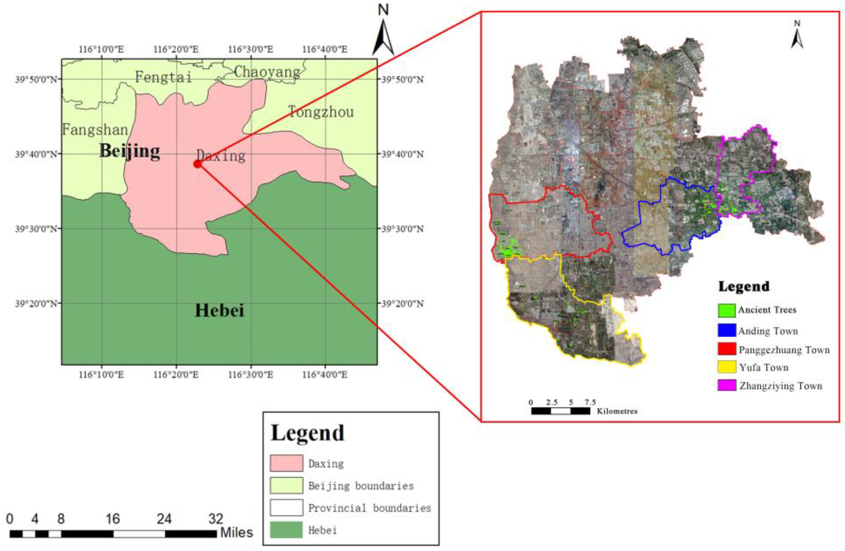 Forests 09 00735 g001