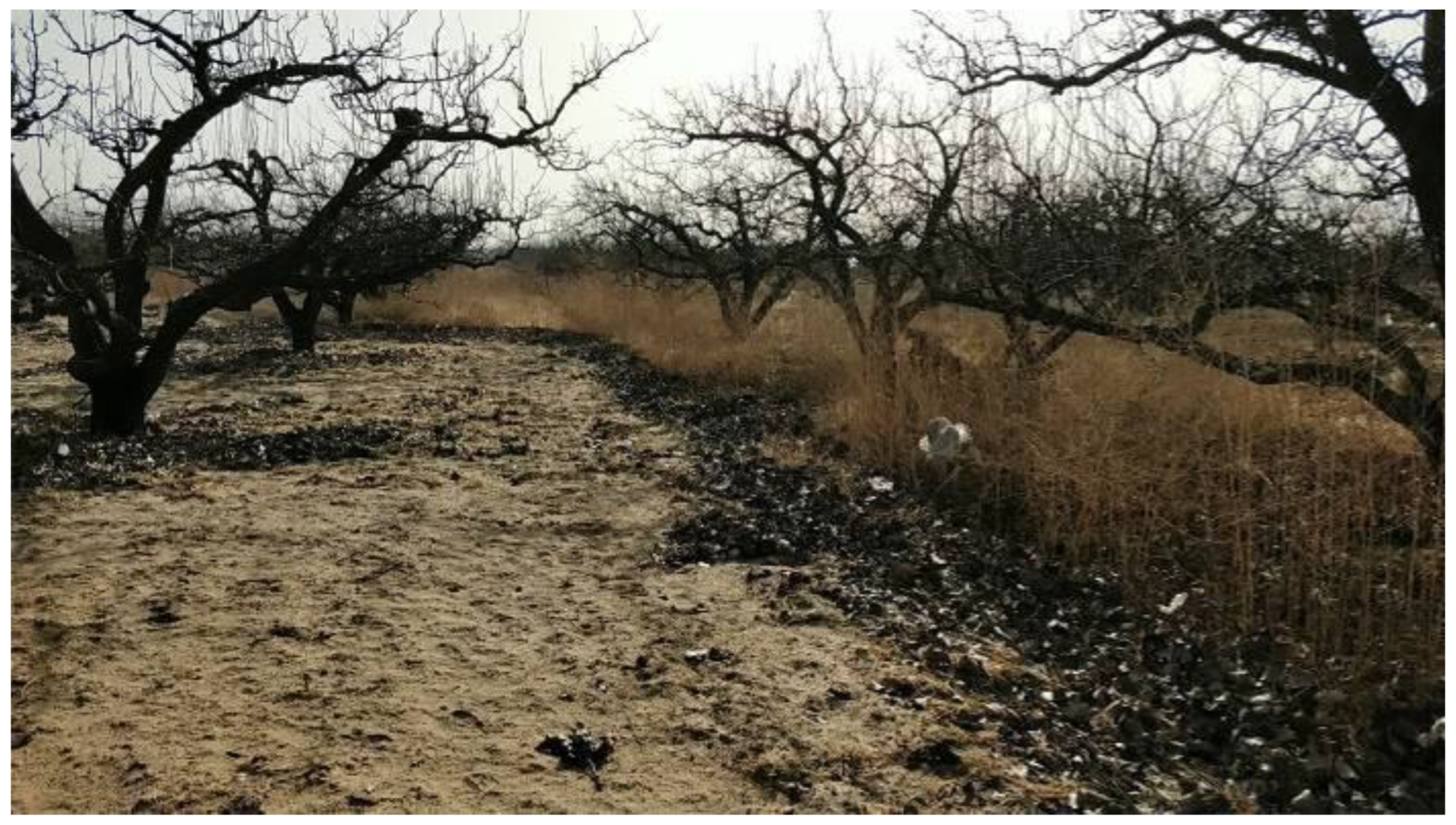 Forests 09 00735 g002