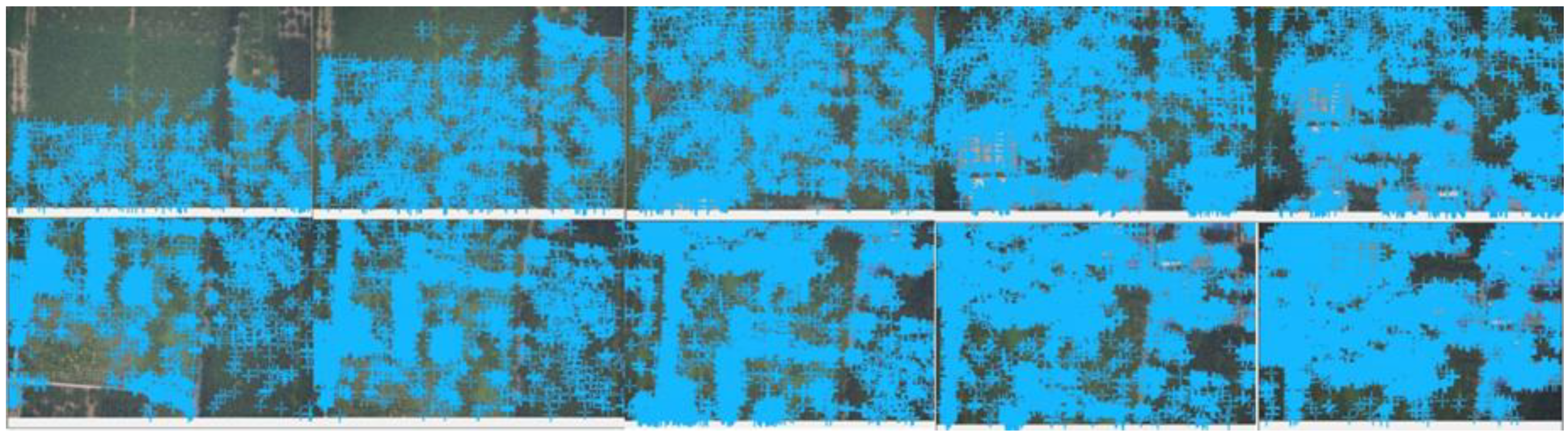 Forests 09 00735 g004