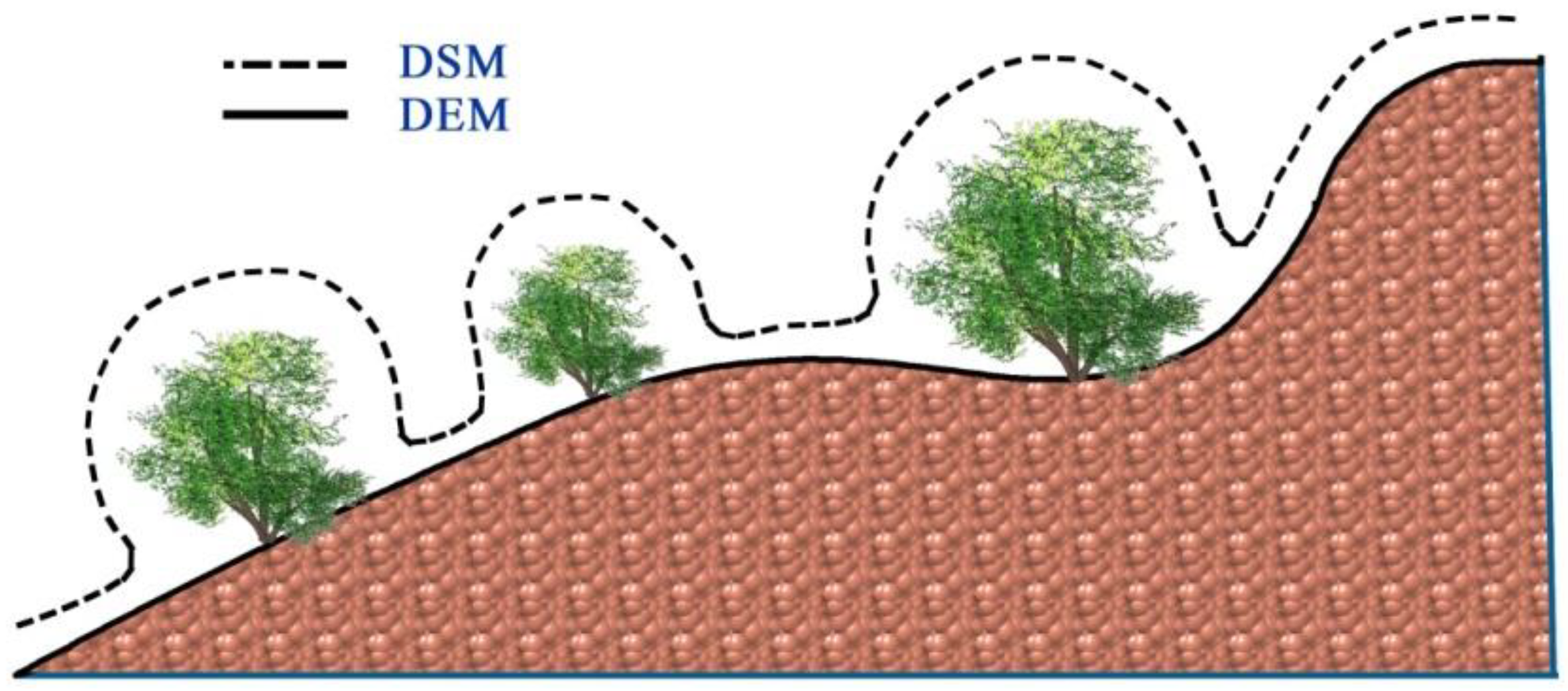 Forests 09 00735 g009