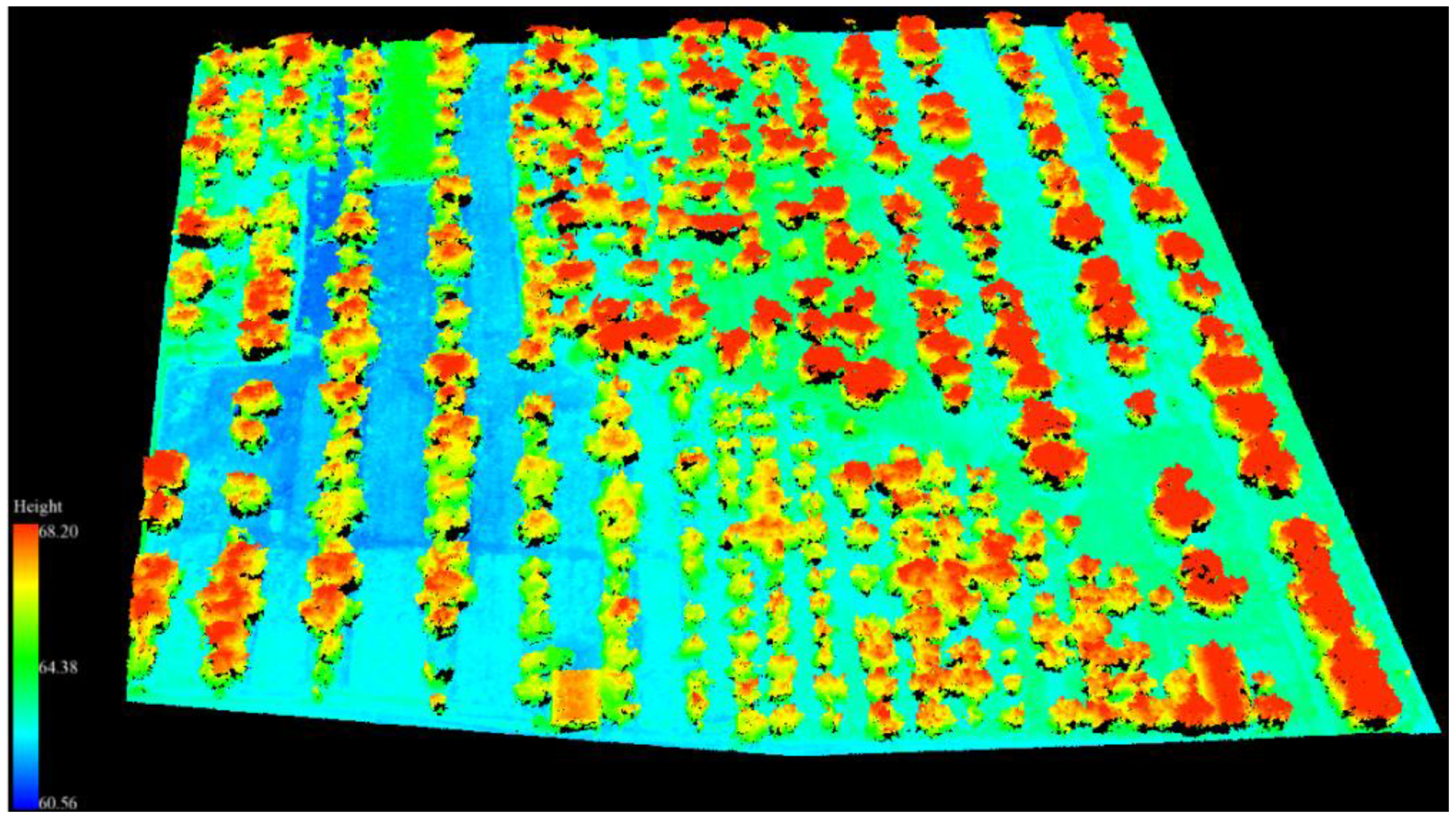 Forests 09 00735 g012