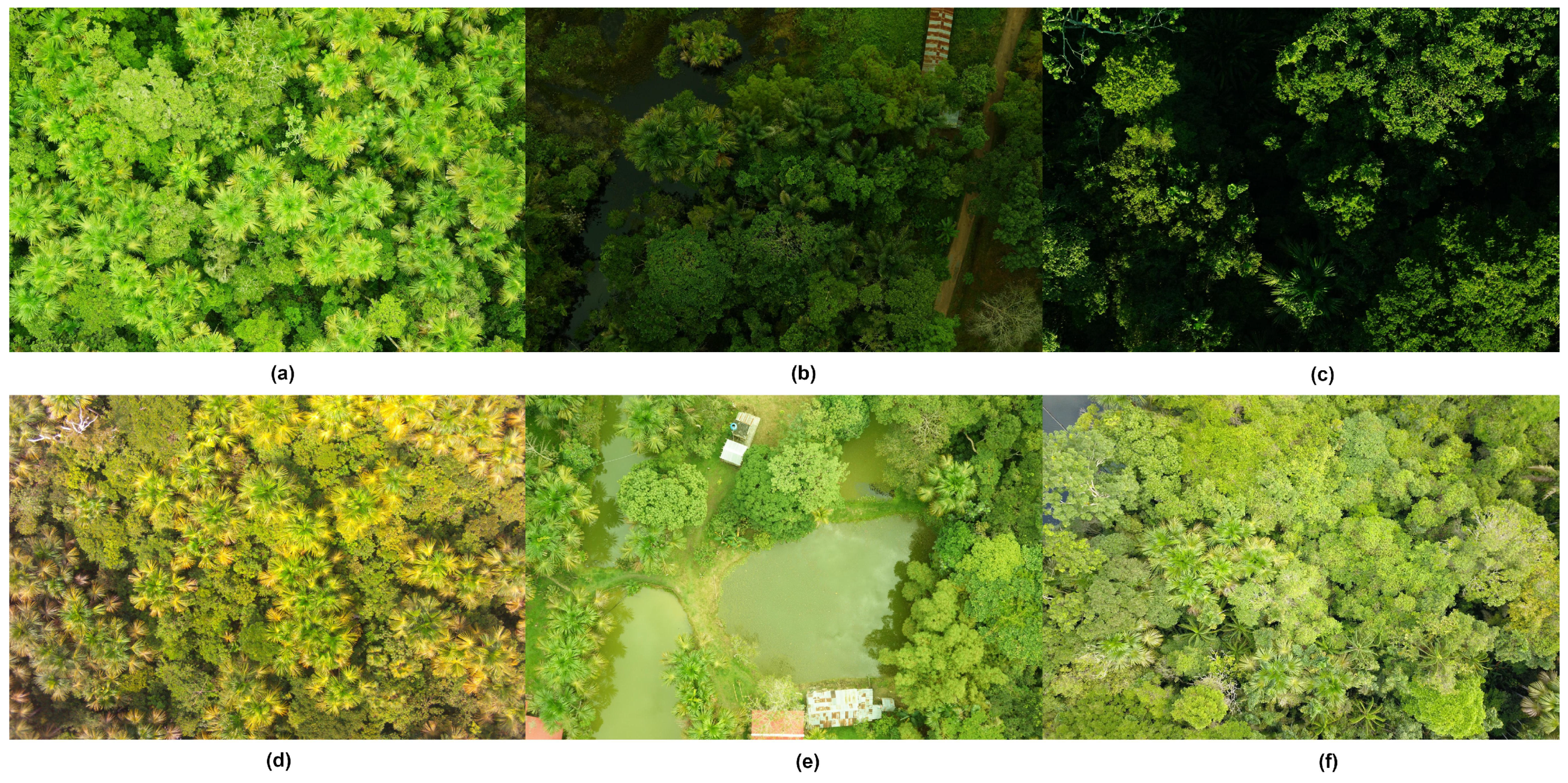 Forests 09 00736 g003