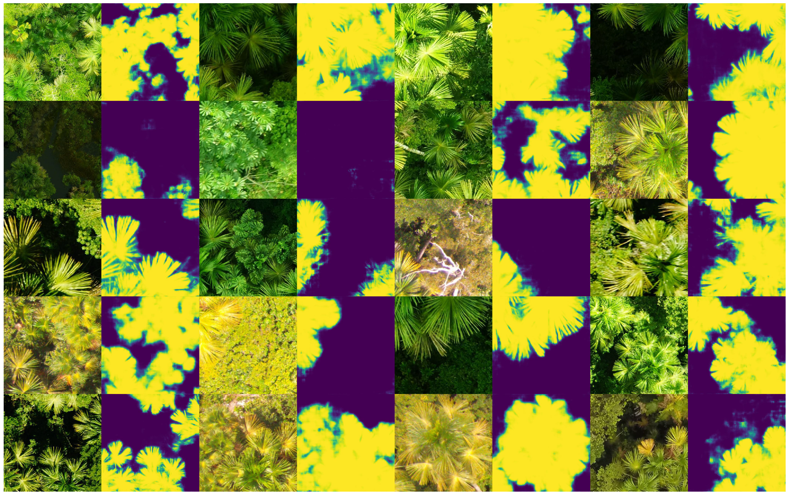 Forests 09 00736 g010