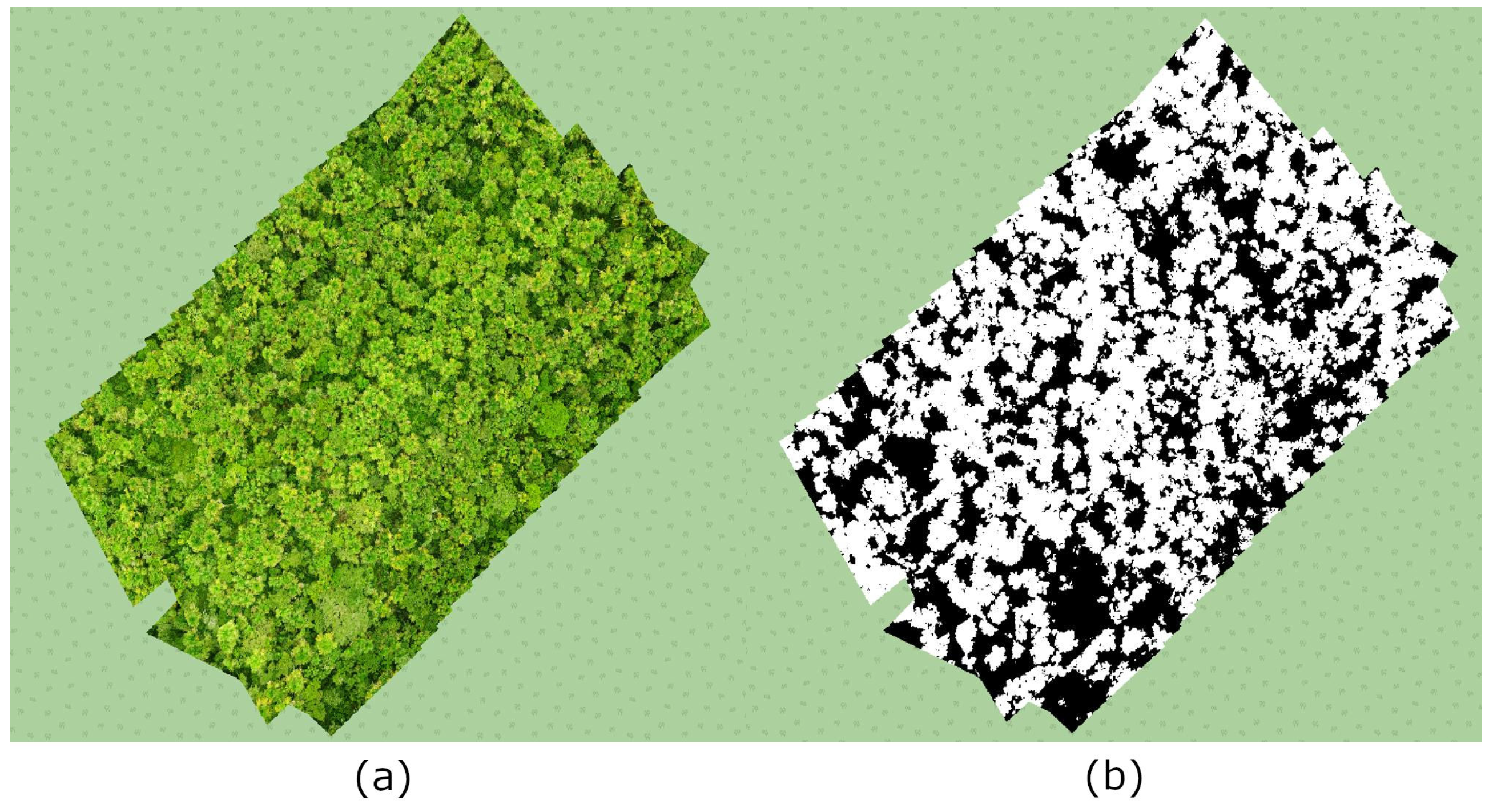 Forests 09 00736 g012
