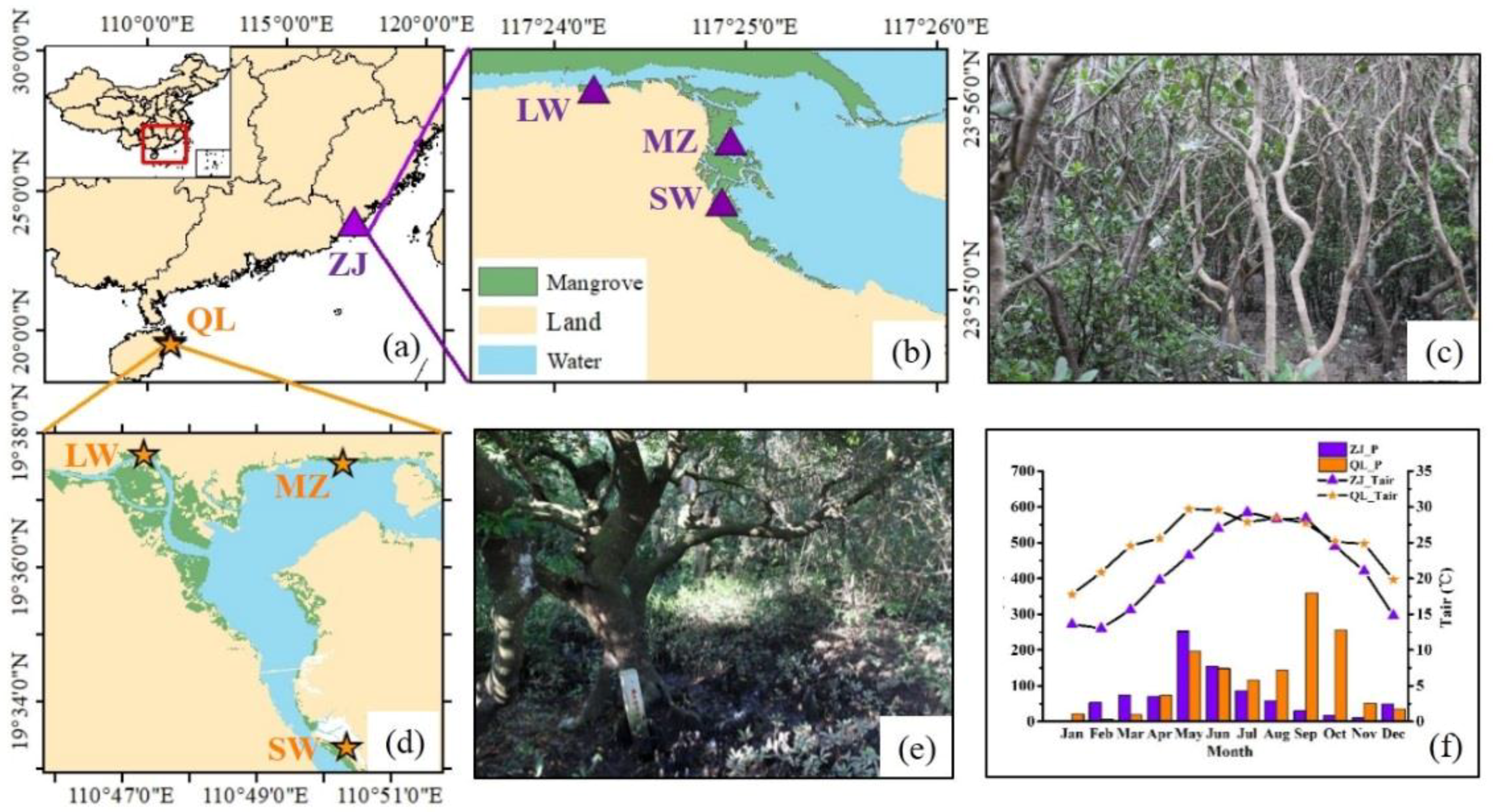 Forests 09 00738 g001