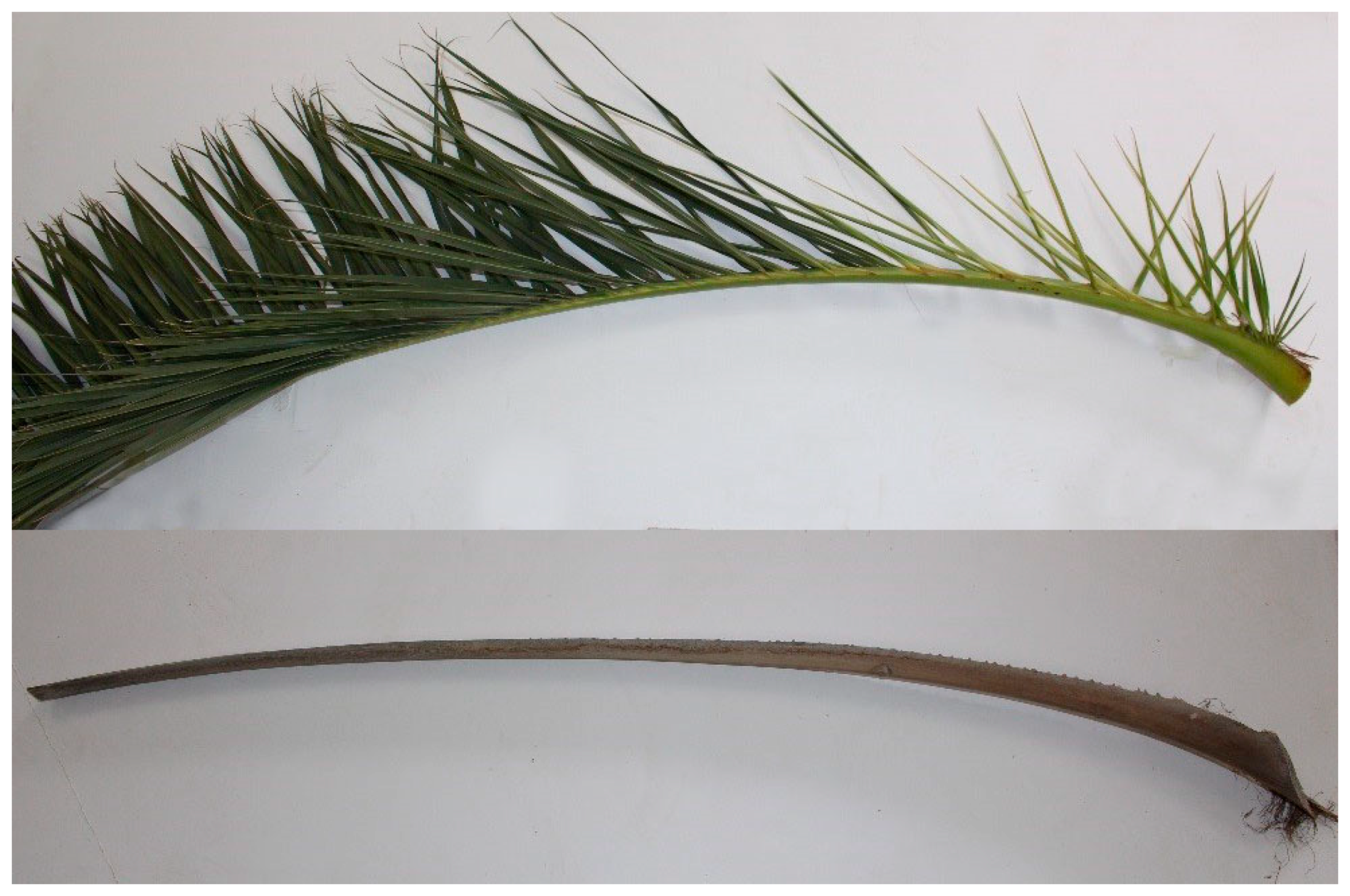 Forests 09 00755 g001 550