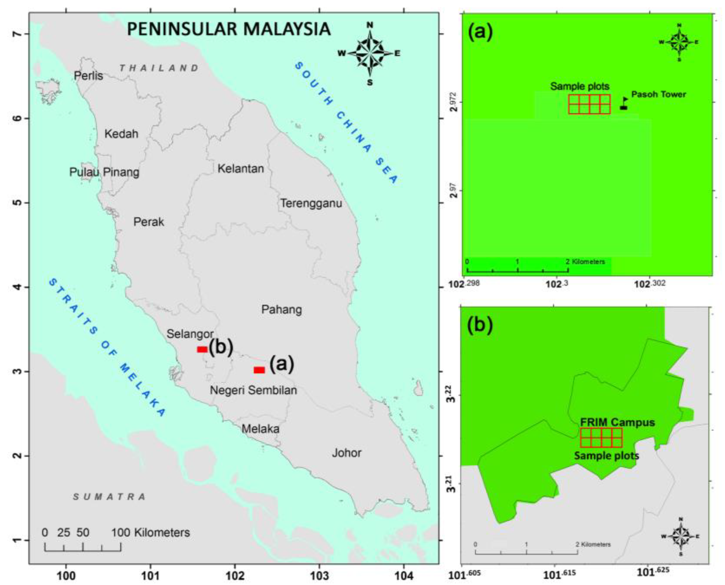 Forests Free Full Text Improving Individual Tree Crown Delineation And Attributes Estimation Of Tropical Forests Using Airborne Lidar Data Html