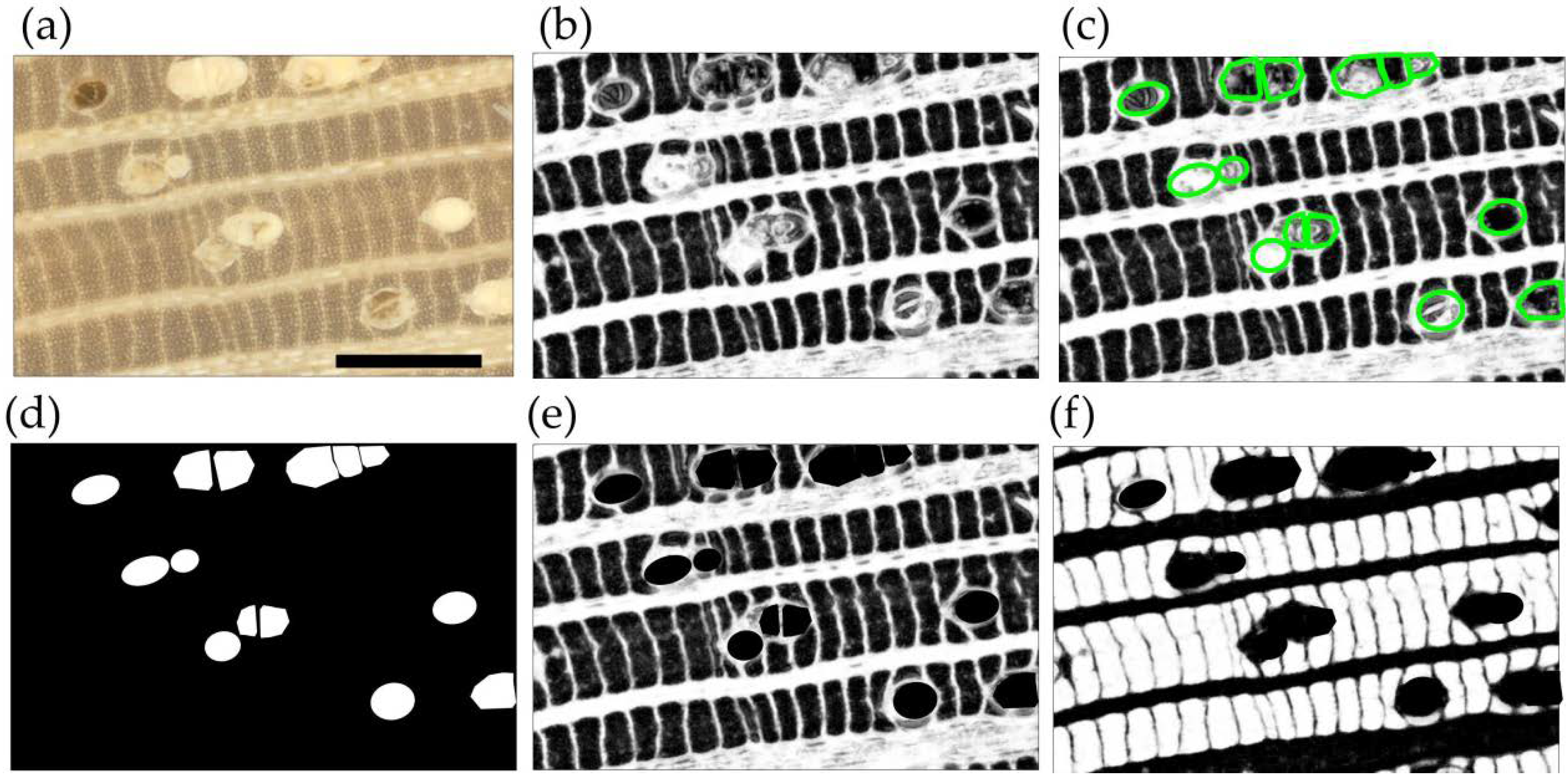 Forests 09 00763 g002 Forests 09 00763 g002