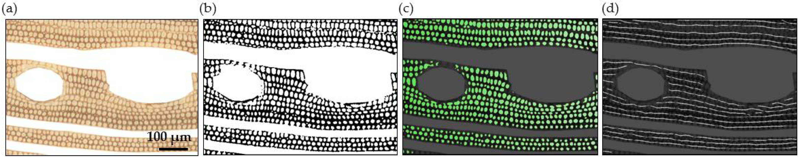 Forests 09 00763 g003 Forests 09 00763 g003