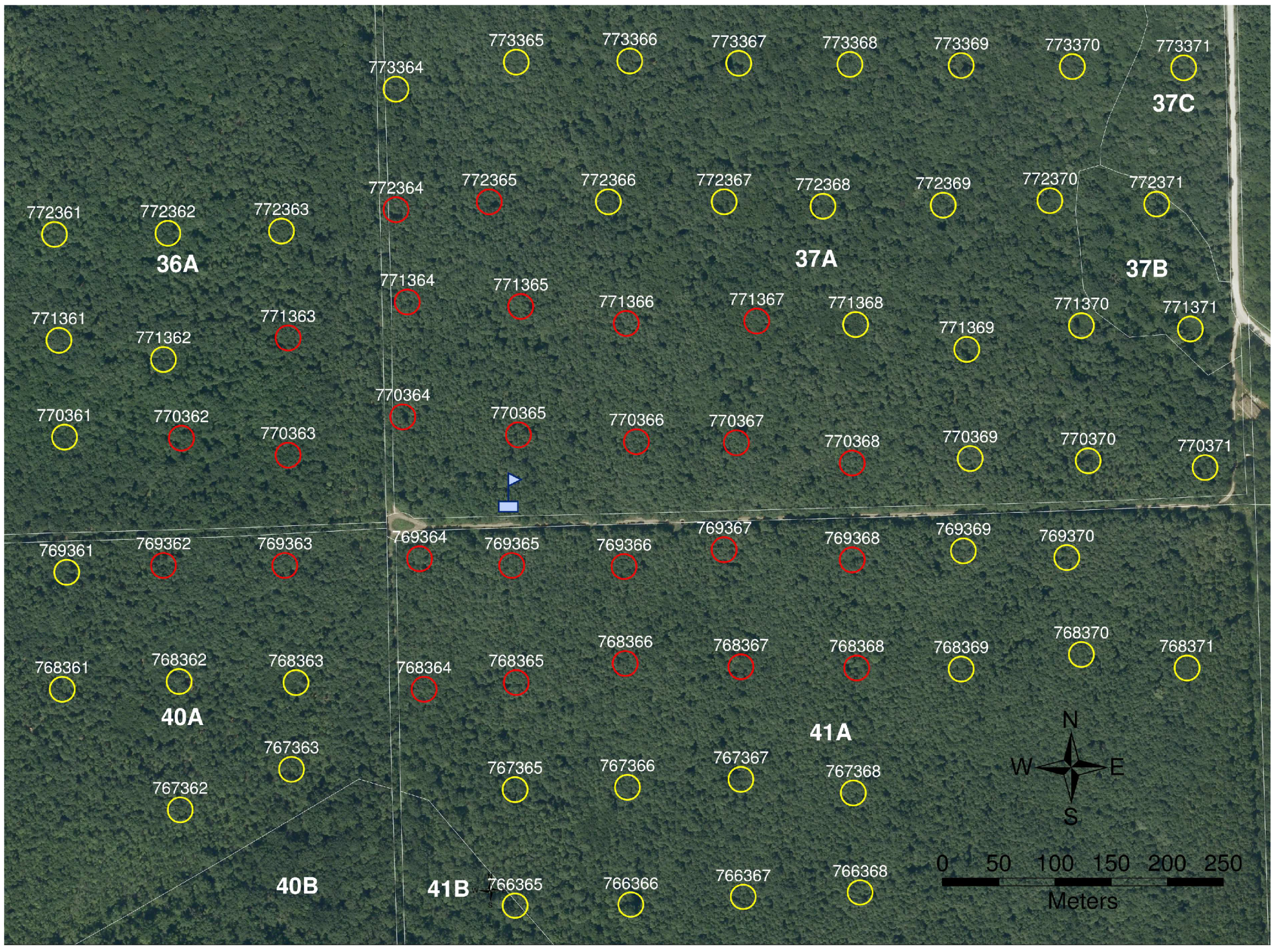 Forests 09 00764 g0a1