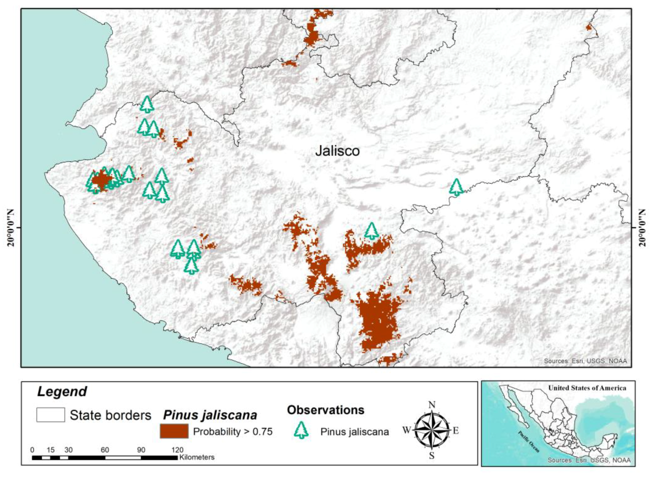Forests 09 00767 g004