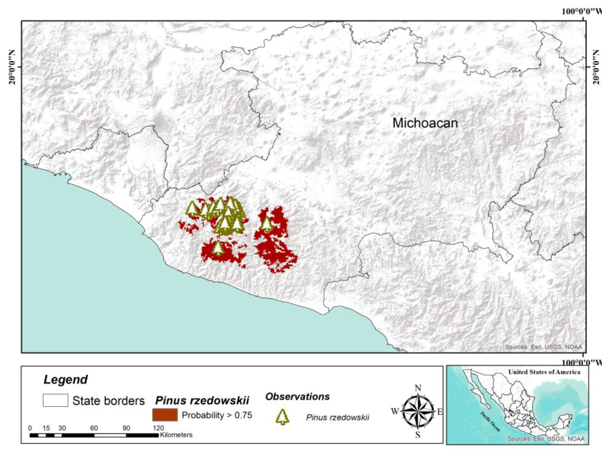 Forests 09 00767 g008