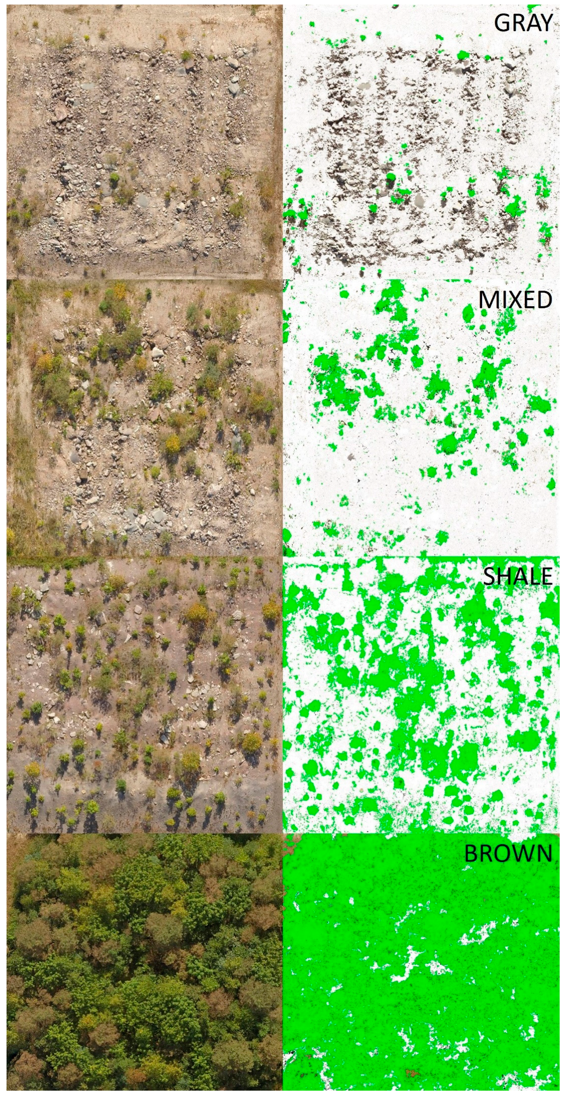 Forests 09 00780 g001