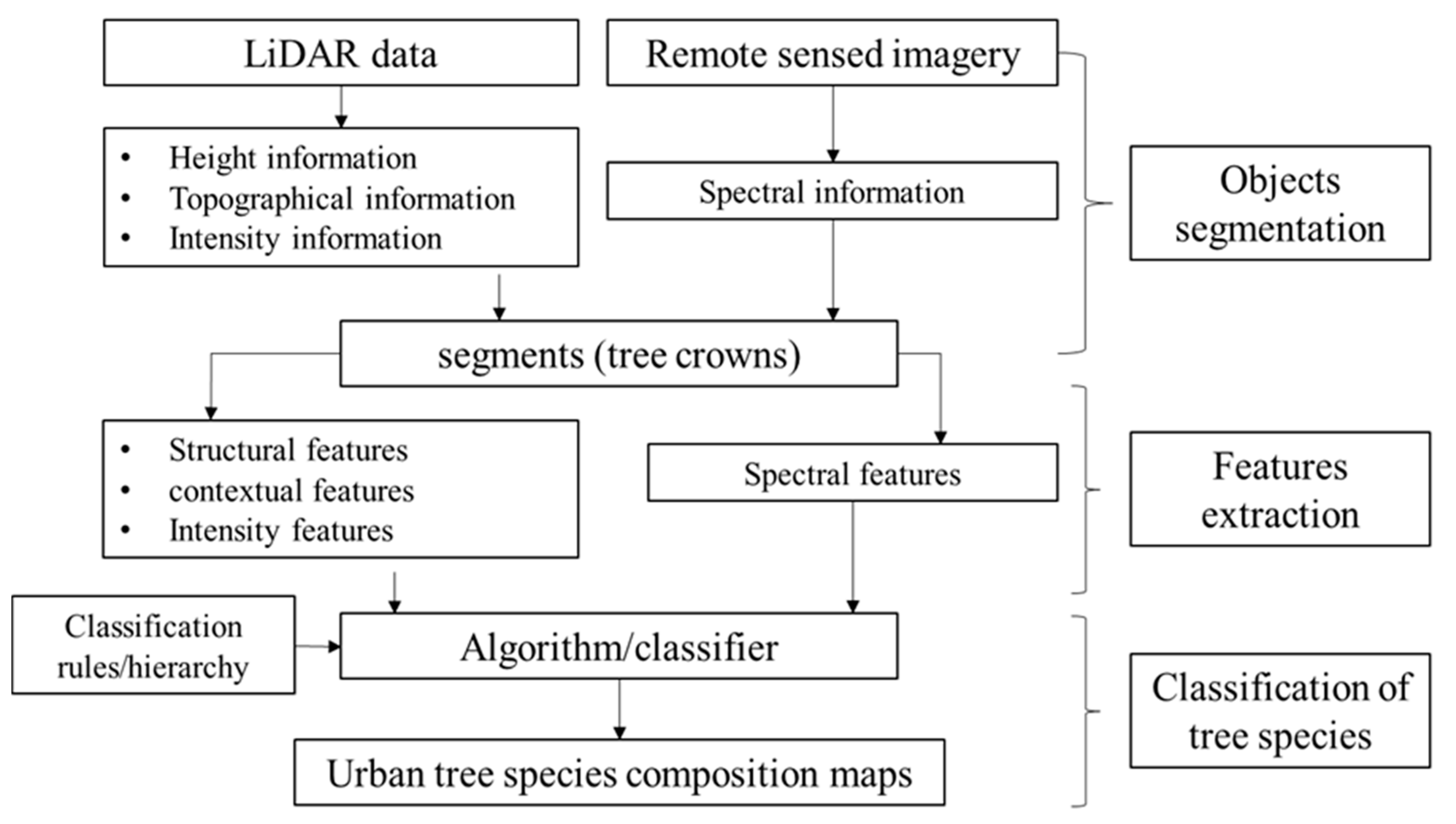 Forests 10 00001 g004