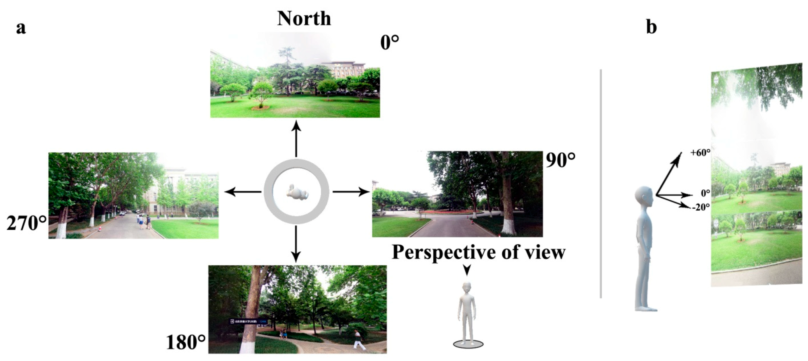 Forests 10 00003 g005