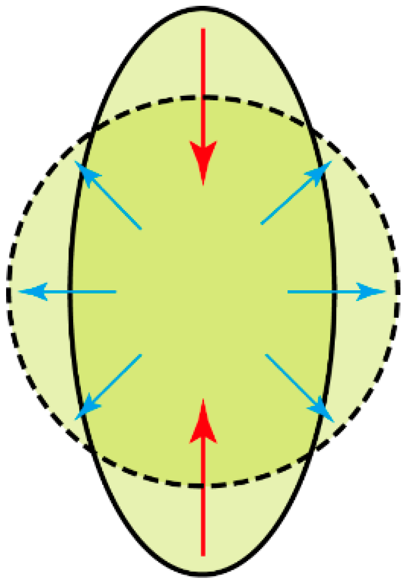 Forests 10 00005 g004 Forests 10 00005 g004