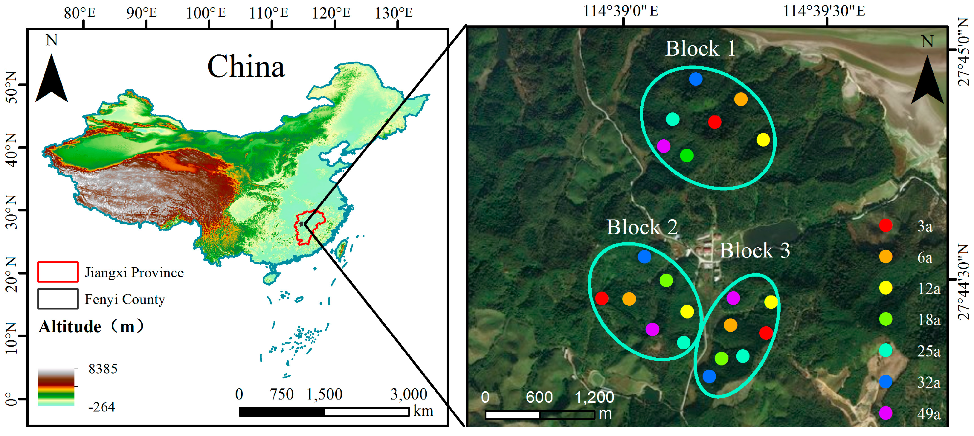 Forests 10 00011 g001 Forests 10 00011 g001
