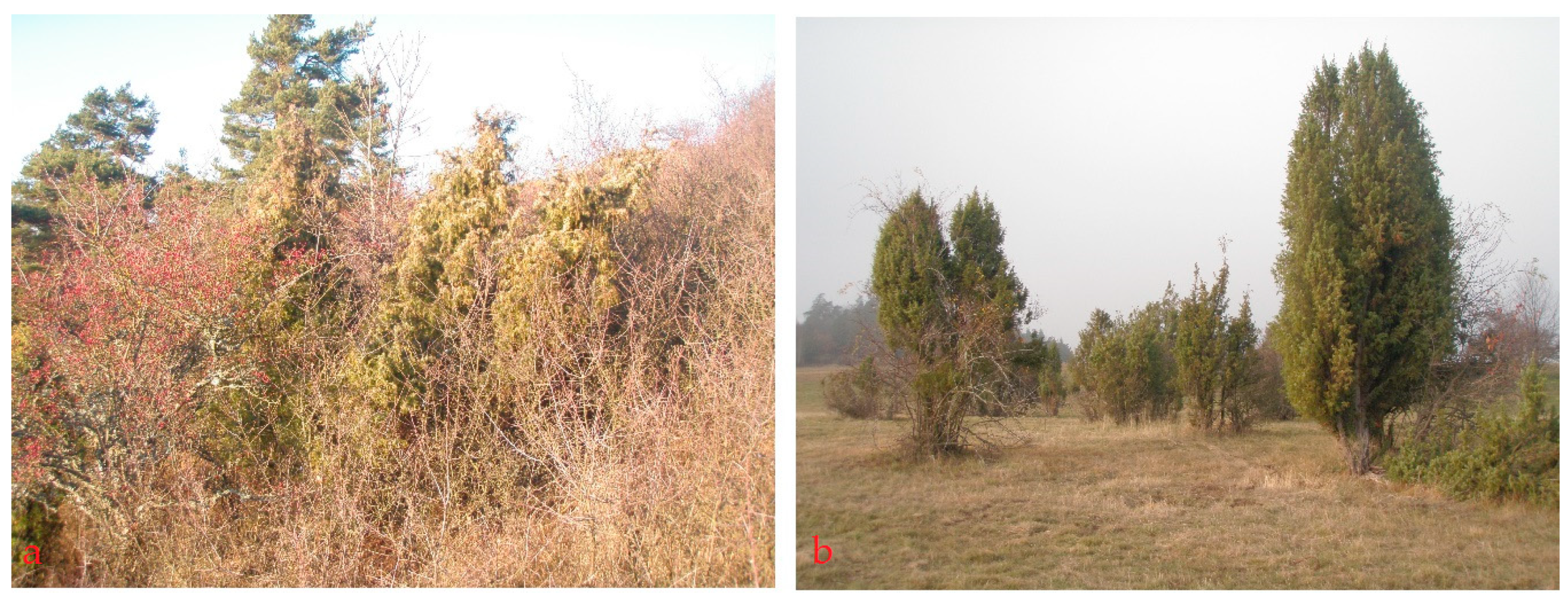 Forests 10 00012 g004 Forests 10 00012 g004