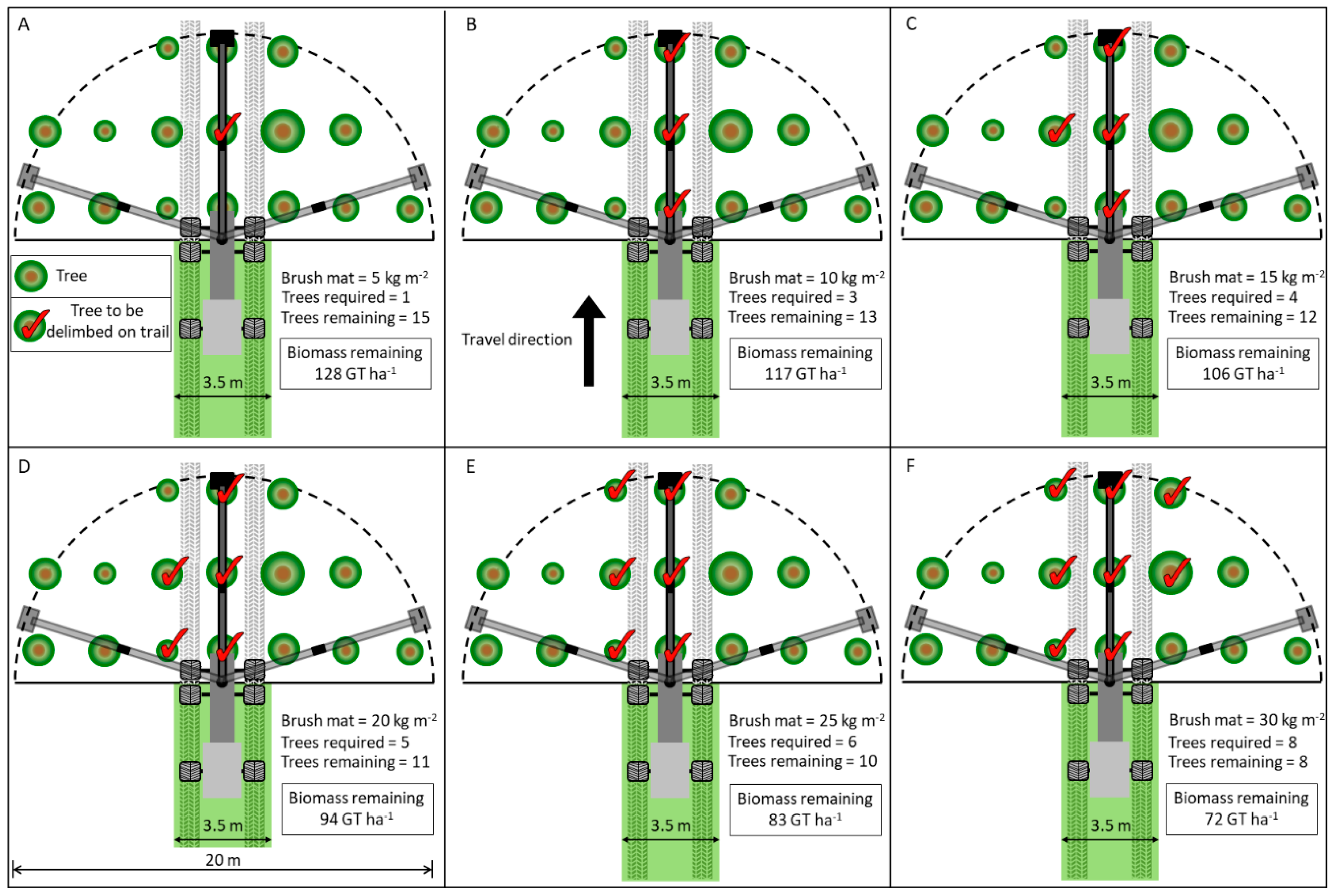 Forests 10 00019 g001