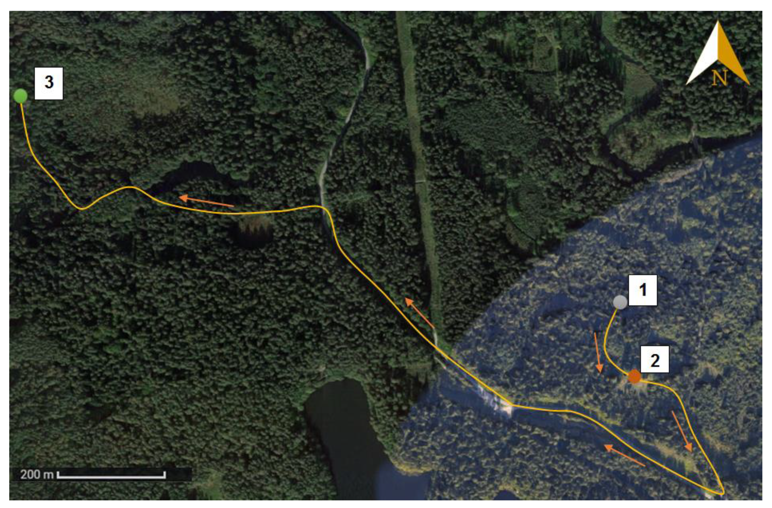 Forests 10 00034 g001