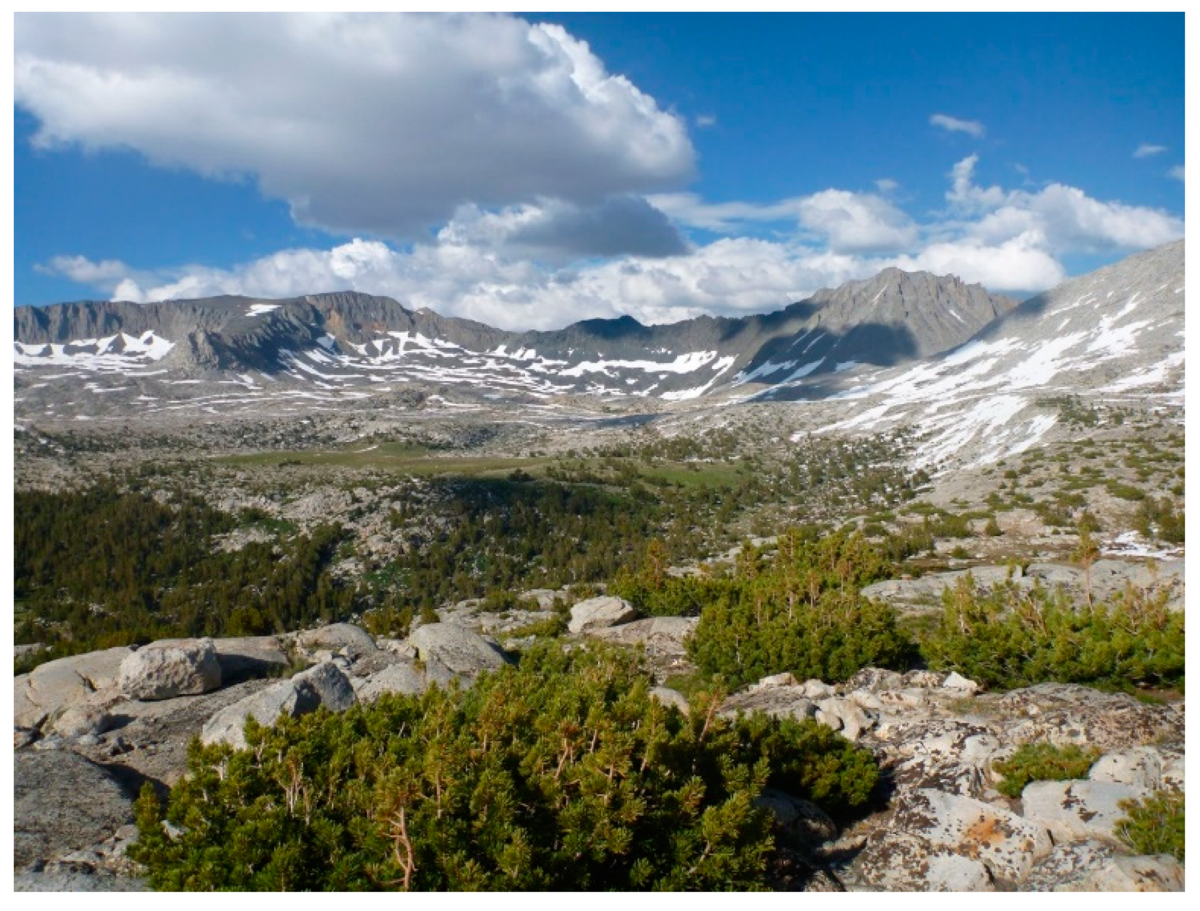 Forests 10 00035 g002 Forests 10 00035 g002