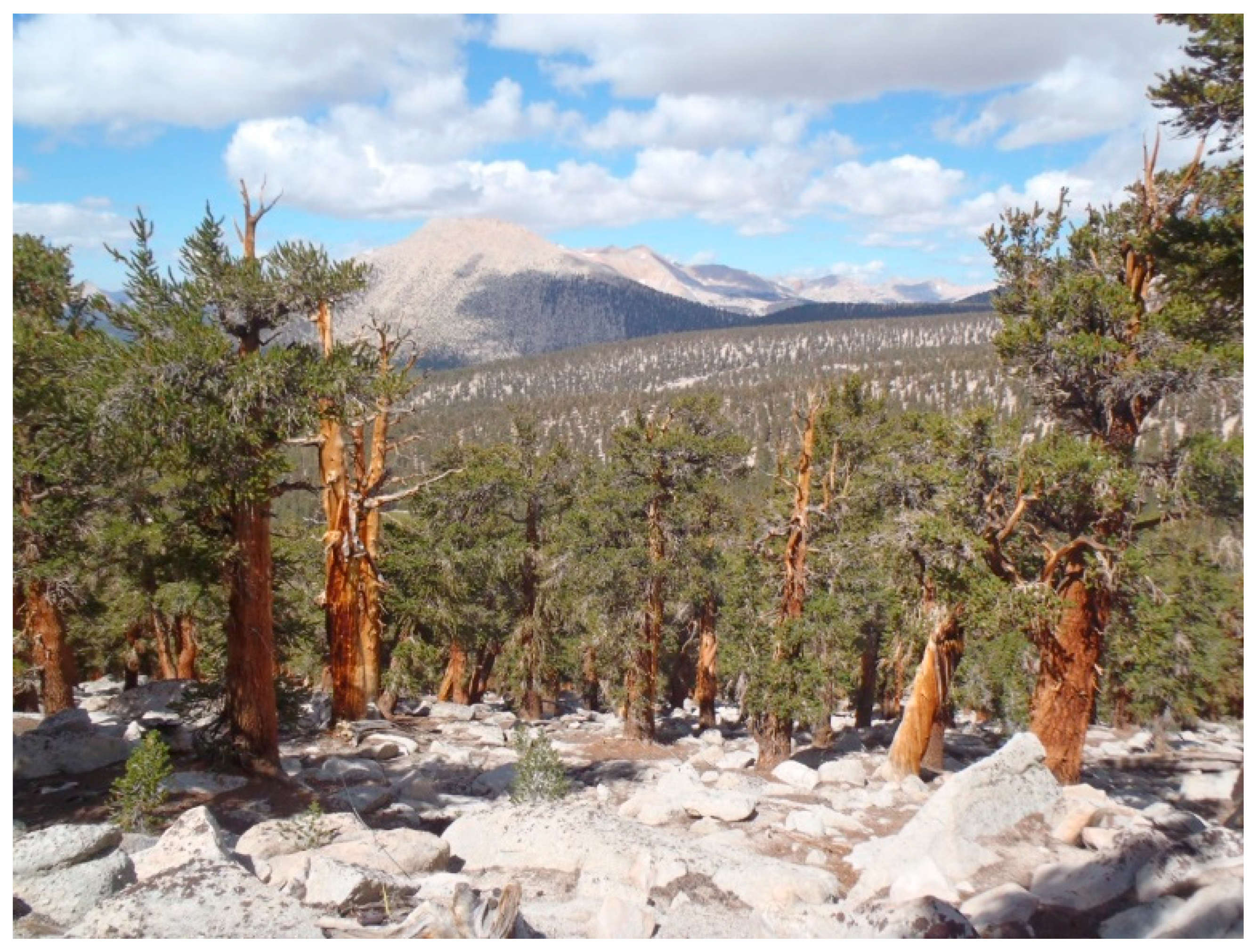 Forests 10 00035 g003 Forests 10 00035 g003