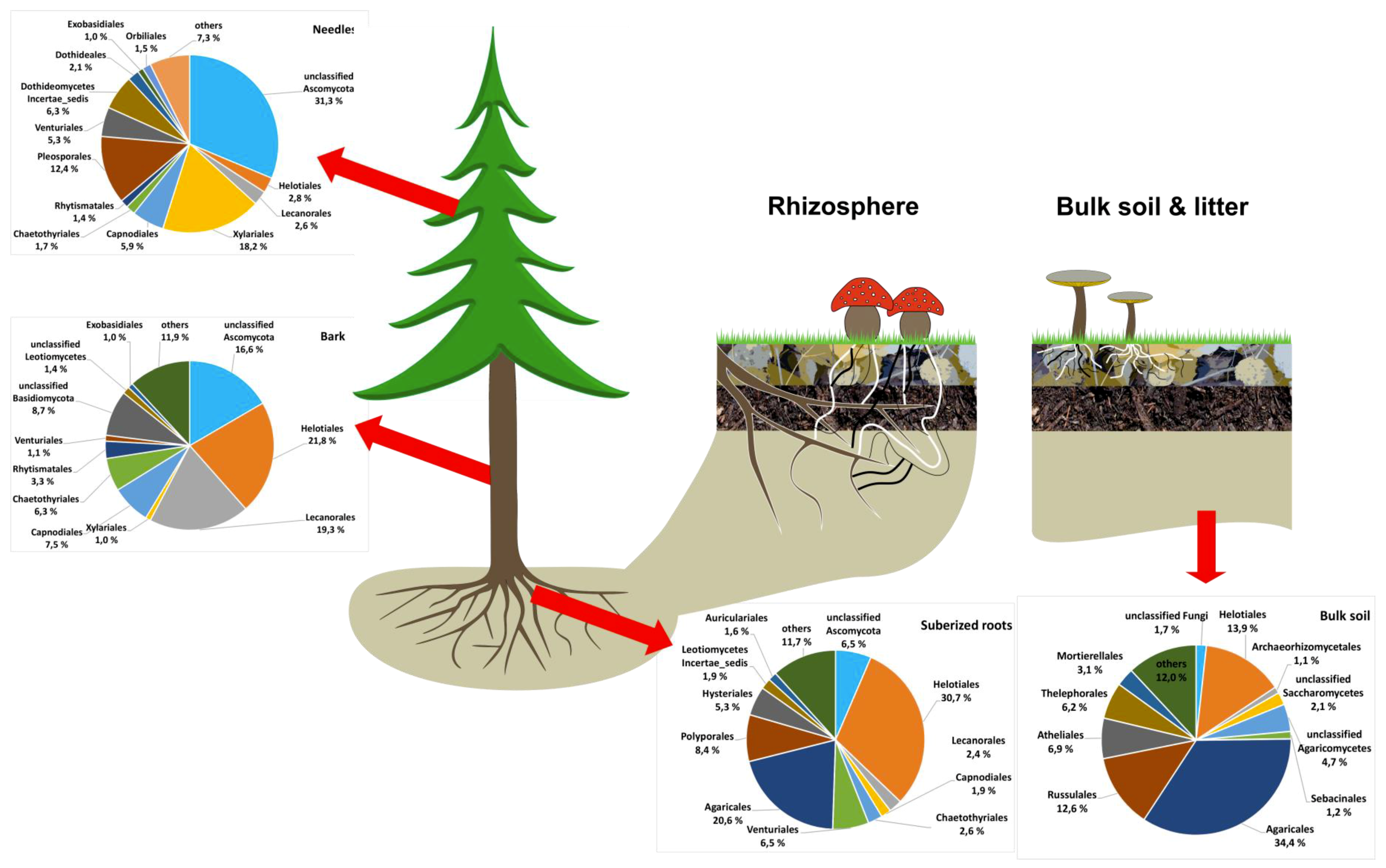 Forests 10 00042 g003 Forests 10 00042 g003