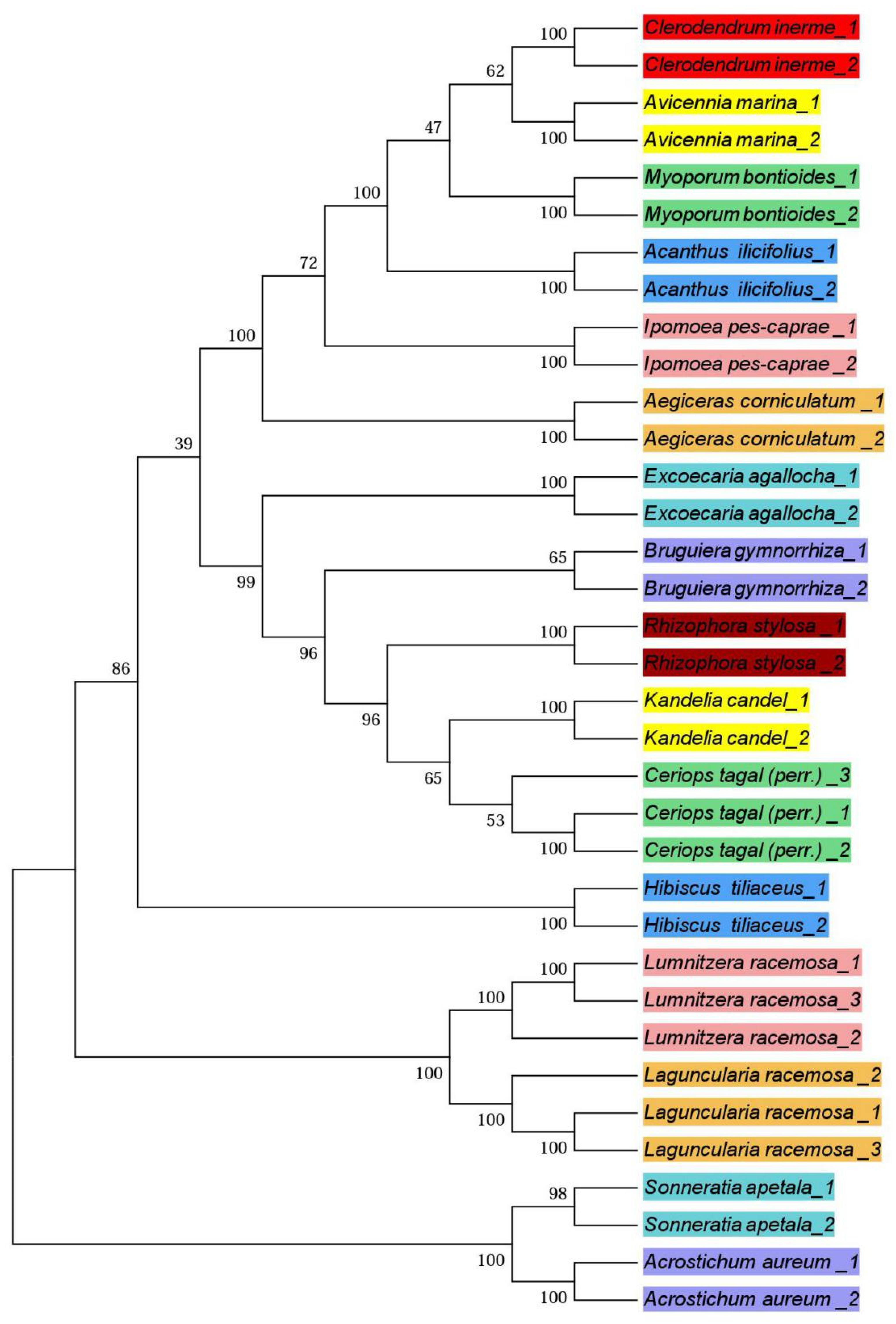 Forests 10 00056 g002 Forests 10 00056 g002