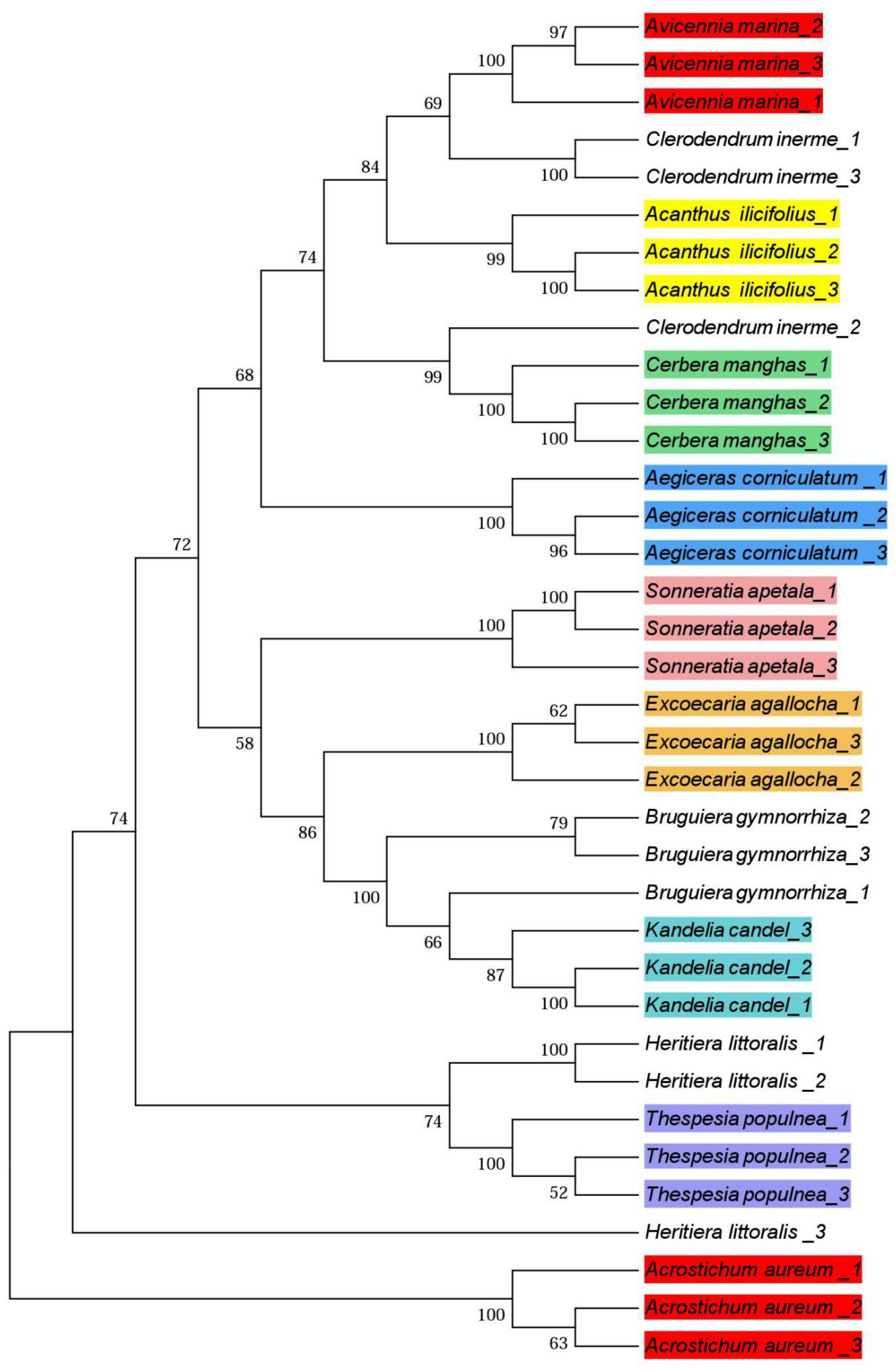 Forests 10 00056 g003 Forests 10 00056 g003