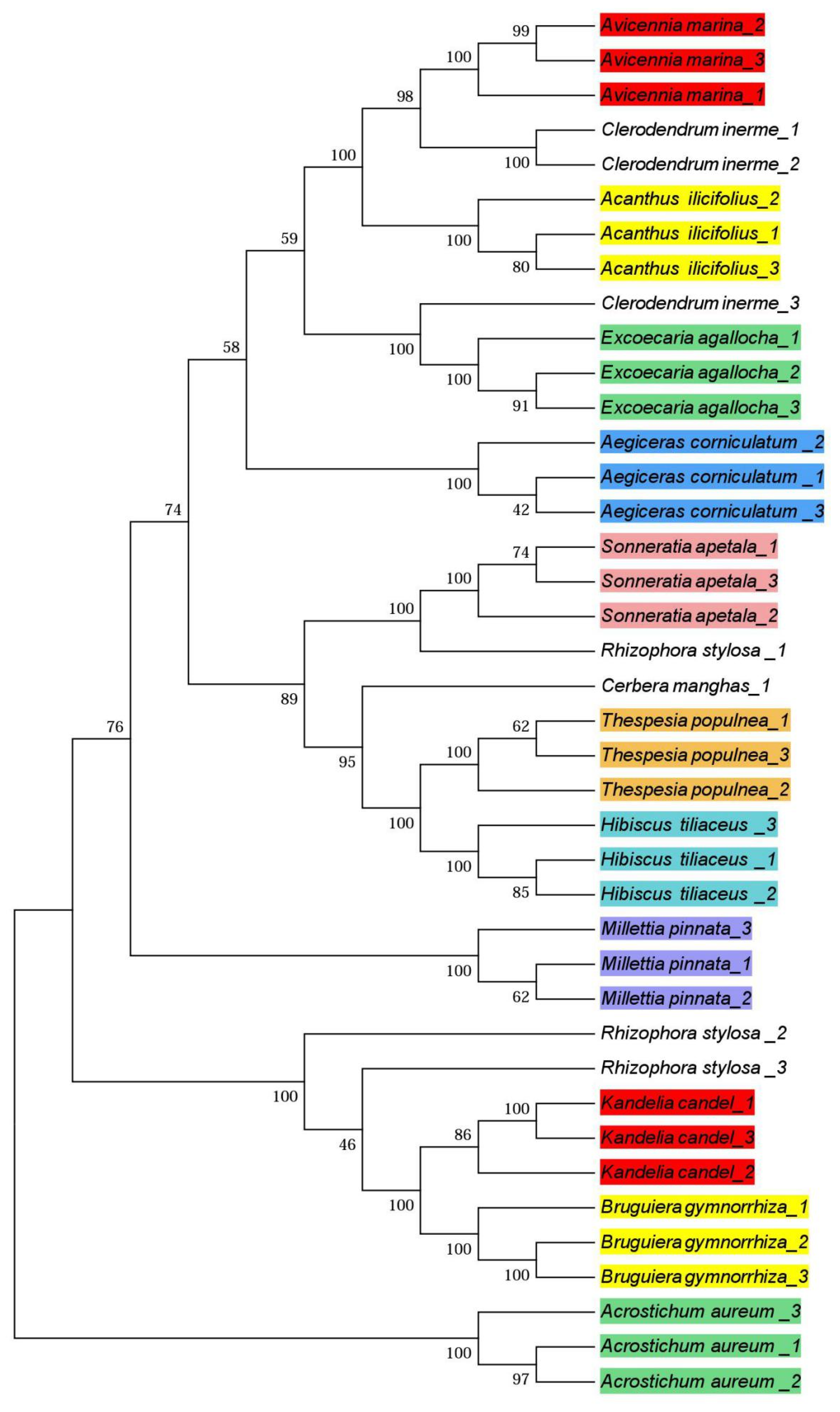 Forests 10 00056 g004 Forests 10 00056 g004