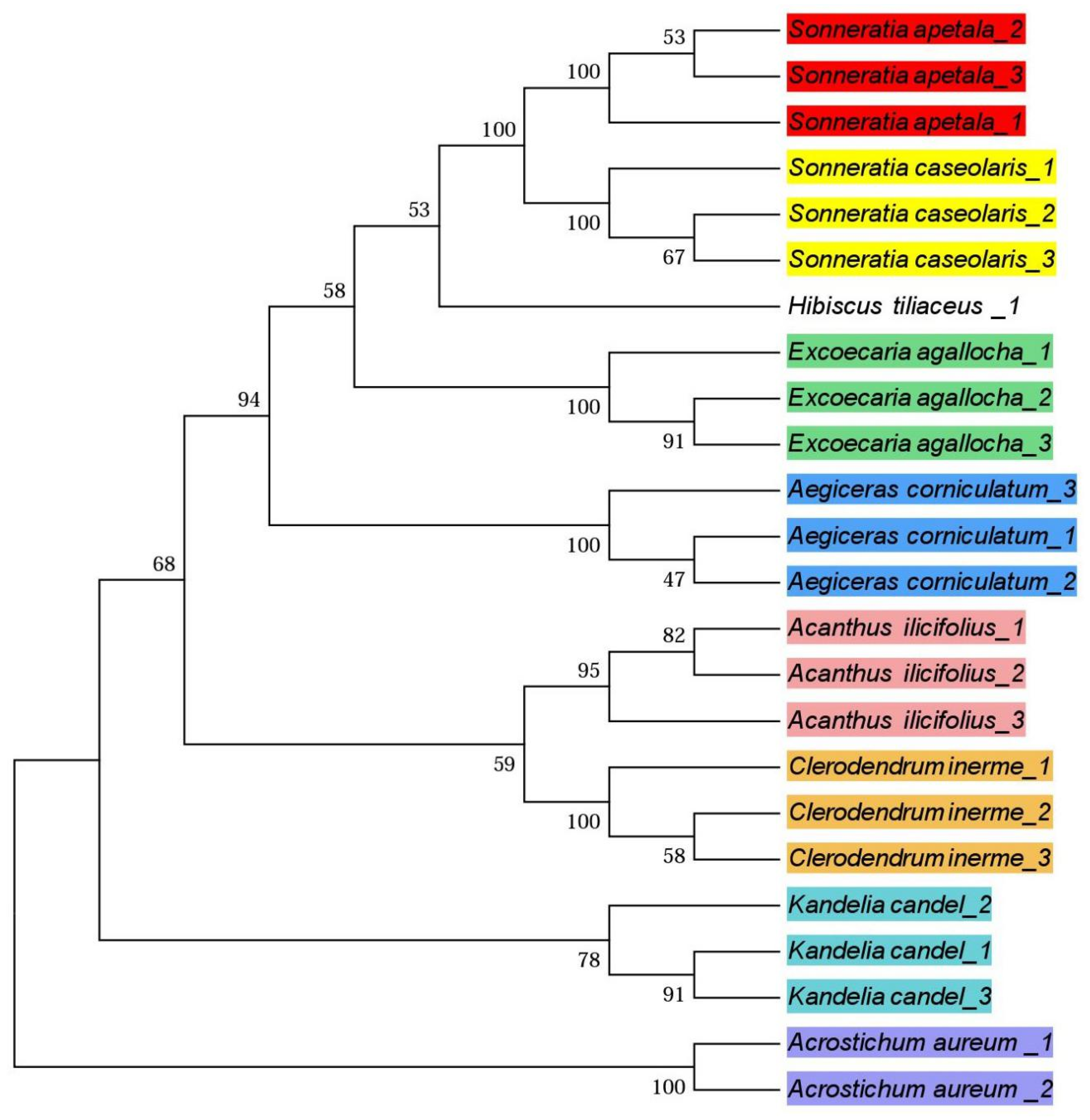 Forests 10 00056 g005 Forests 10 00056 g005