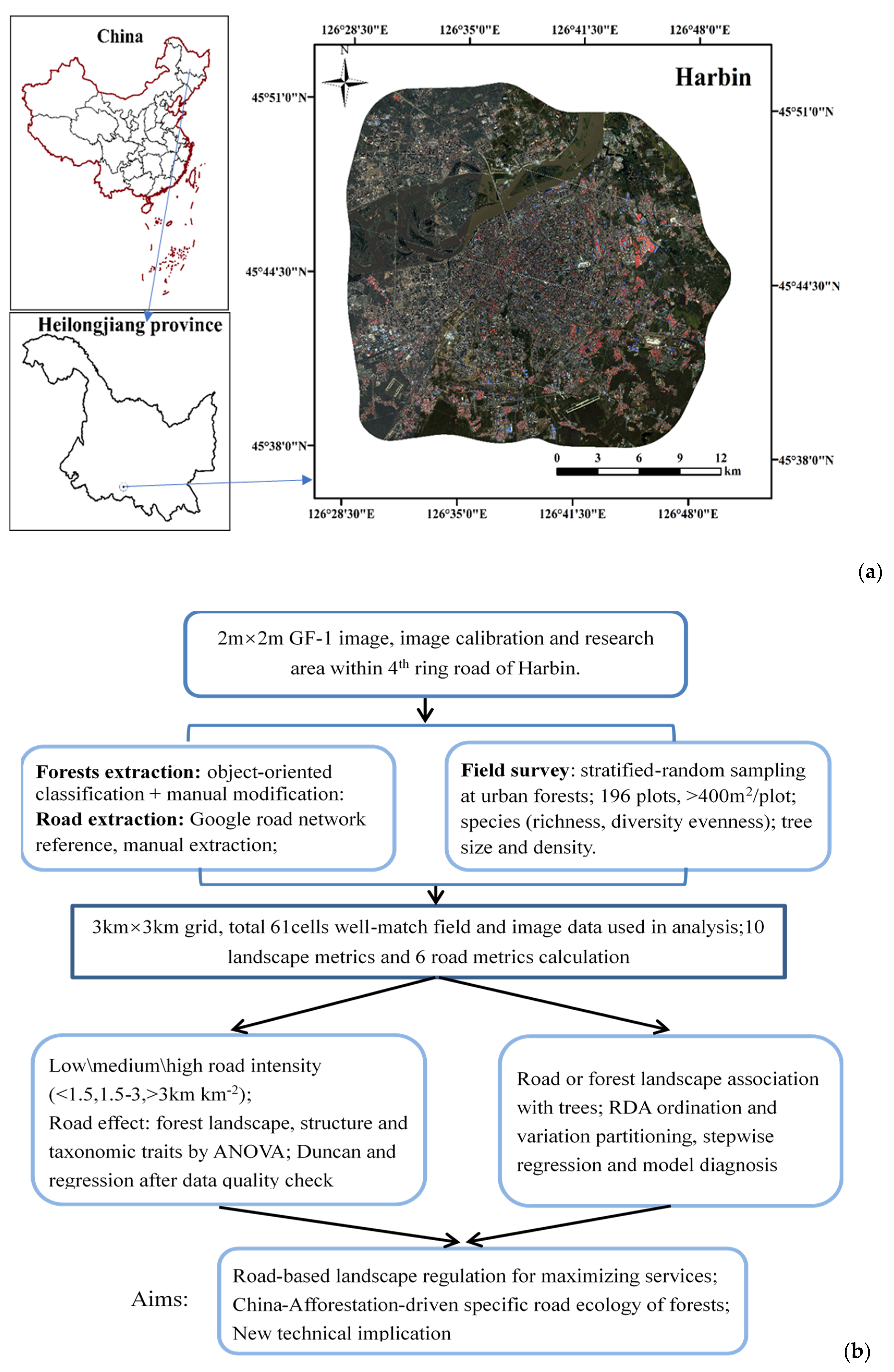 Forests 10 00058 g001