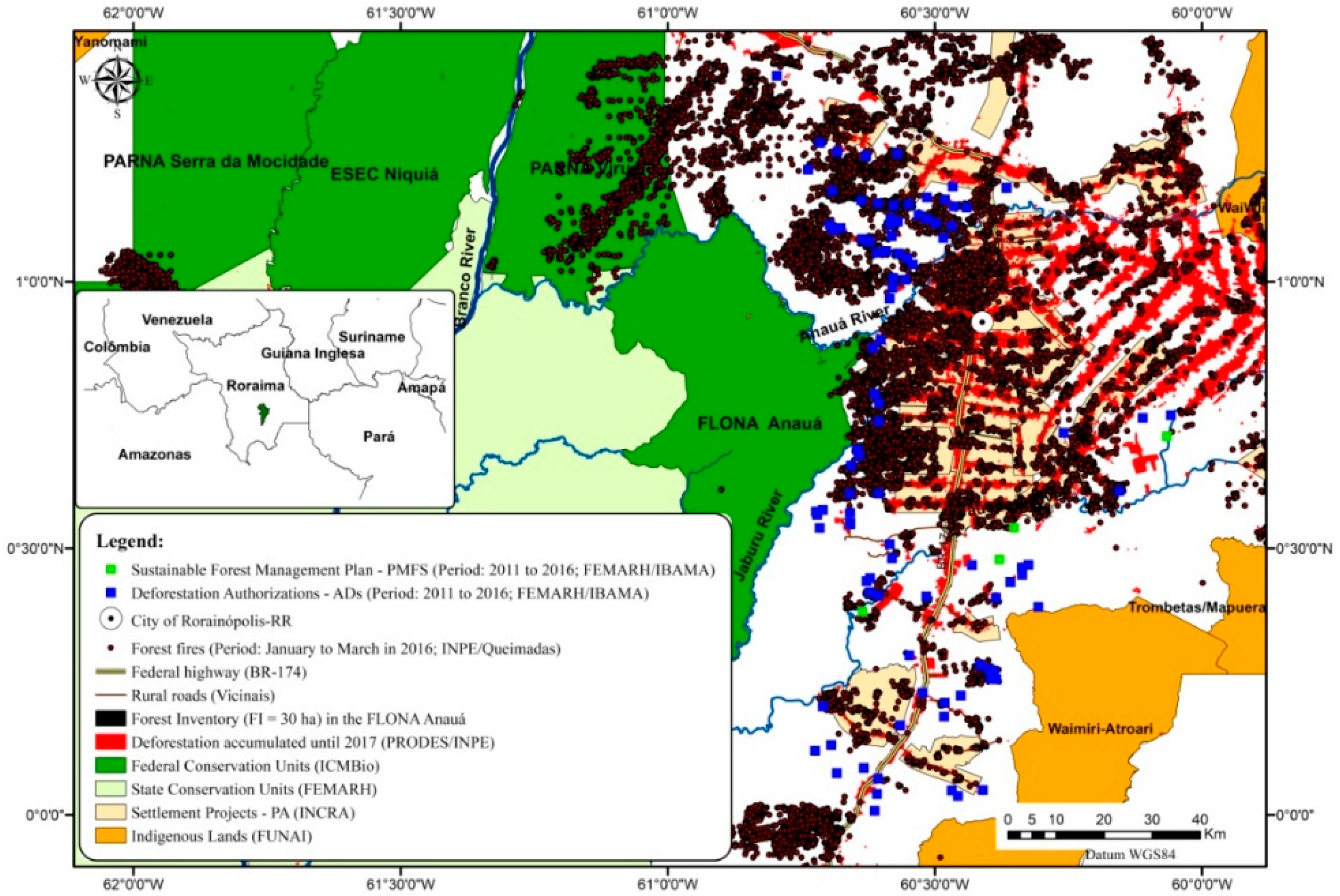 Forests 10 00061 g001